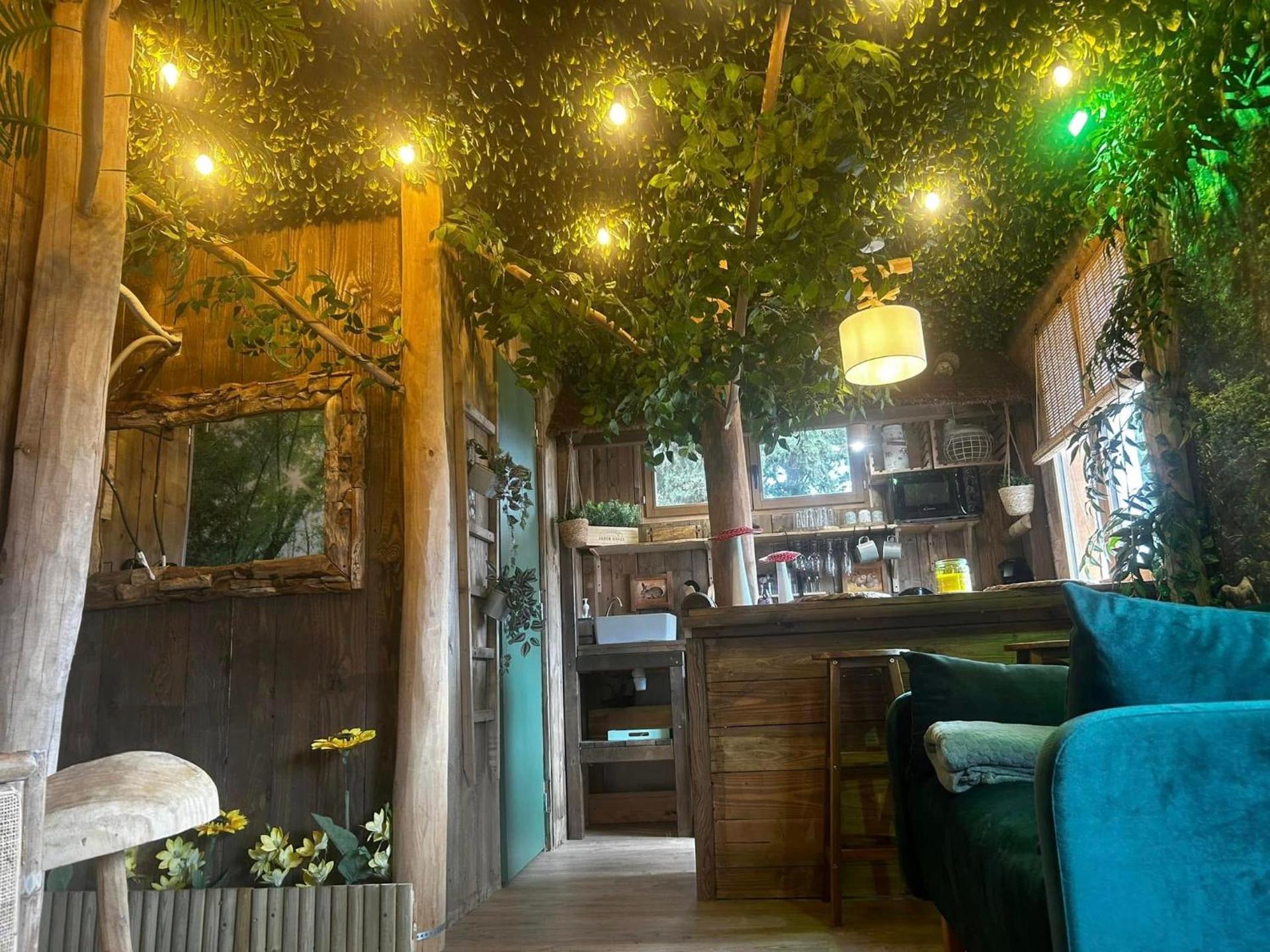 Les Chambres de Paulette à Theme LA JUNGLE ROOM