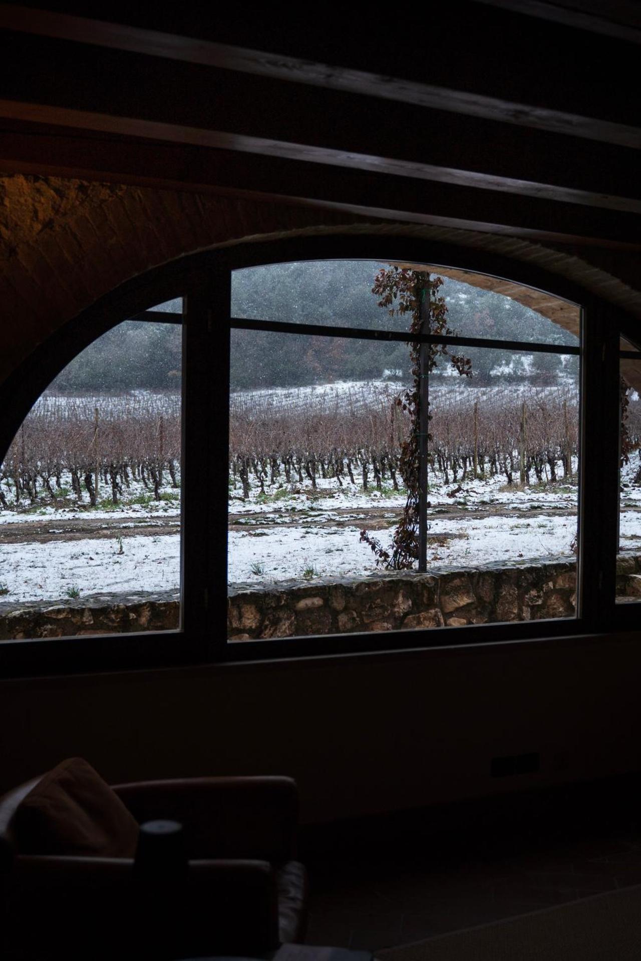 San Calisto camere con vigna