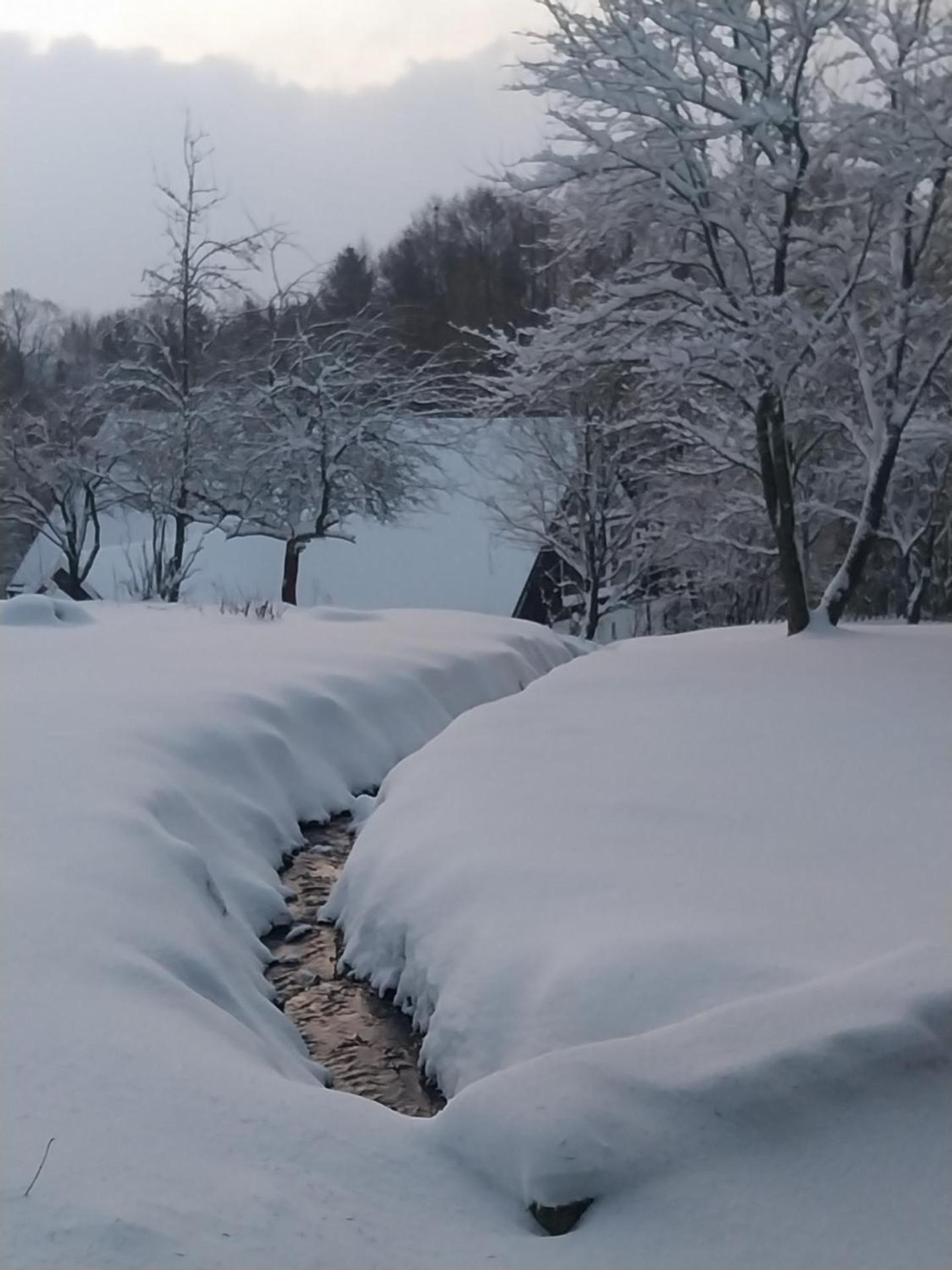 Gościniec Śliwkowy Sad