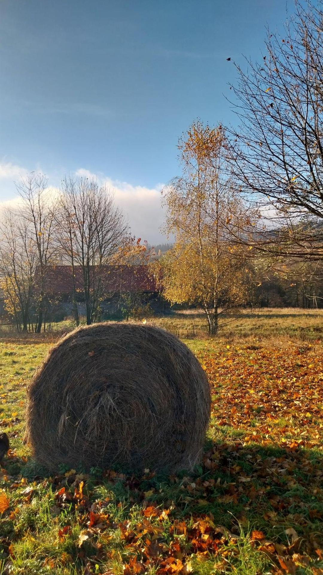 Gościniec Śliwkowy Sad