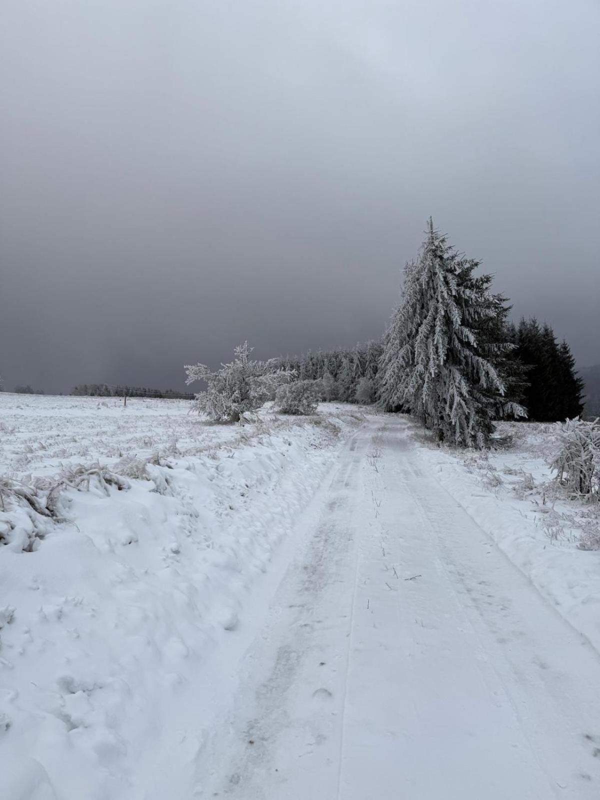 Gościniec Śliwkowy Sad