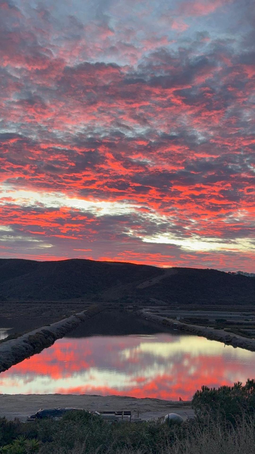Herdade d'Amoreira Rosmaninho Studio