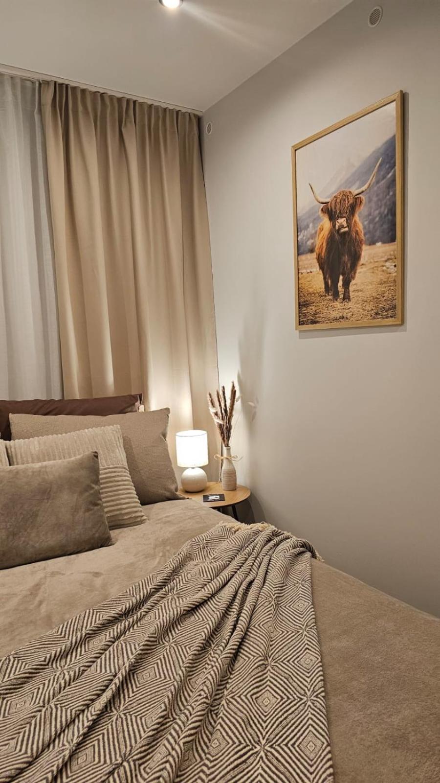 Czarny Koń i Biały Koń Black Horse & White Horse Apartamenty