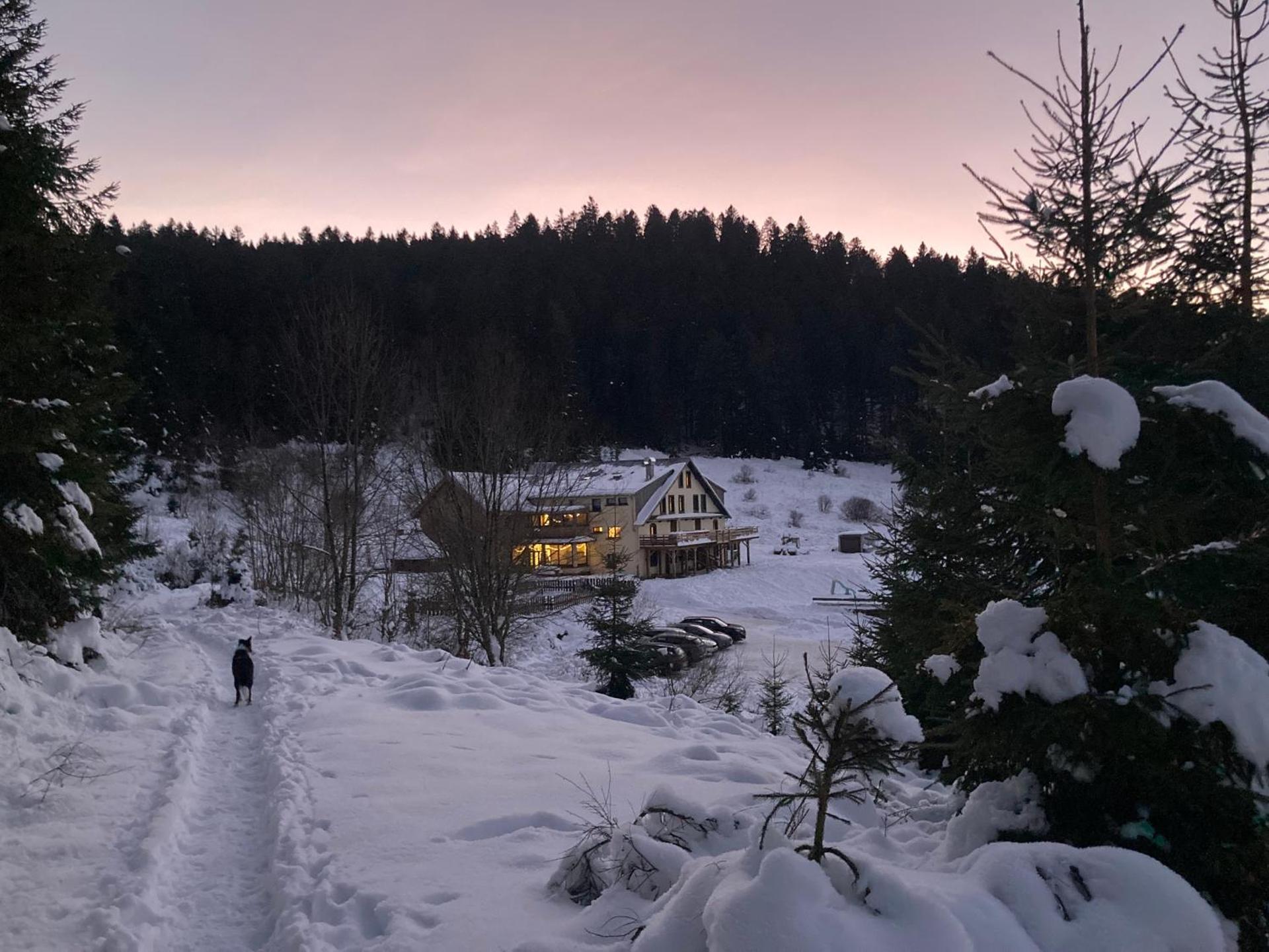Le Perchoir du Grand Valtin - Gîte 9 personnes - Altitude 830