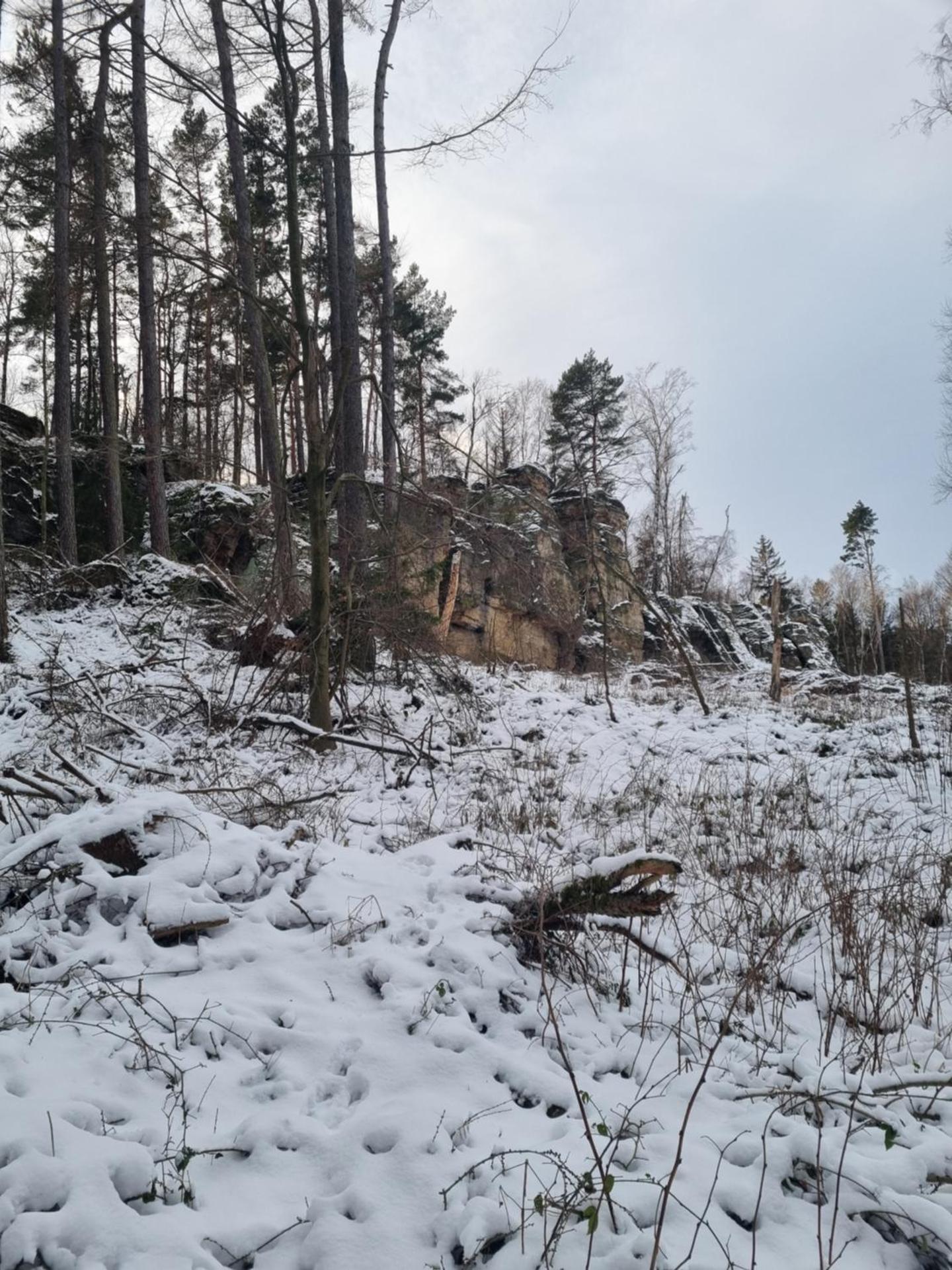 Am Rittergut Giesenstein