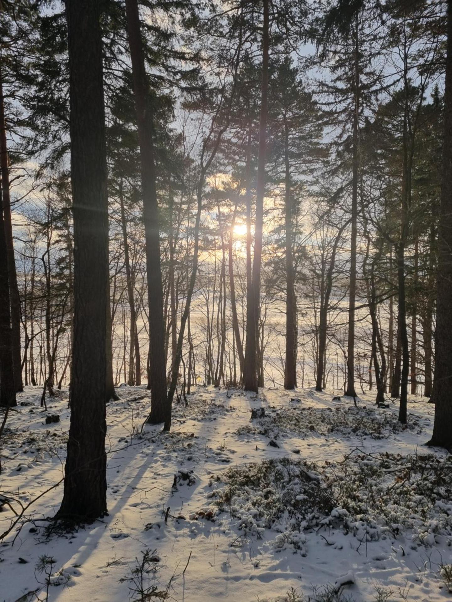 Am Rittergut Giesenstein