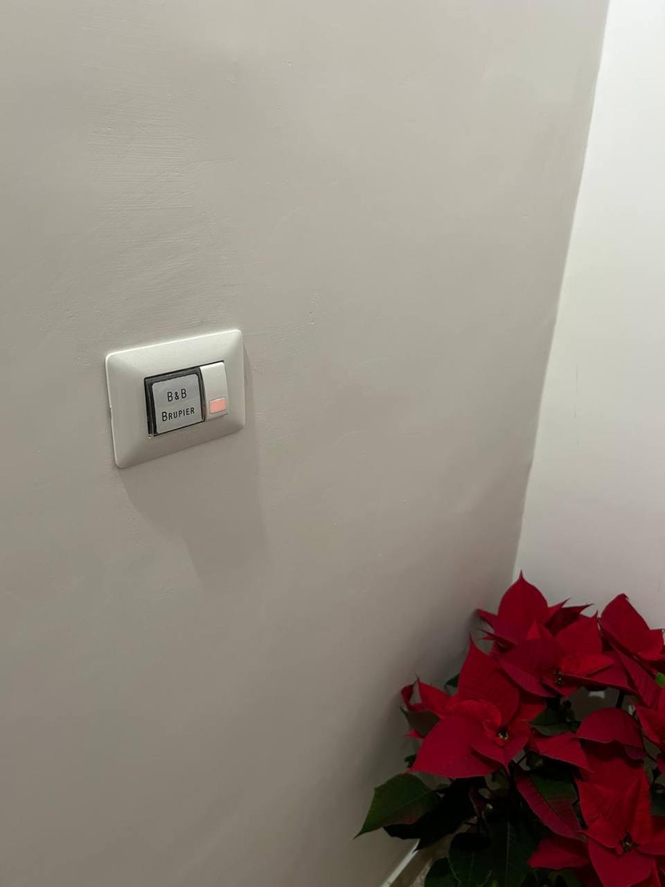 b&b Brupier