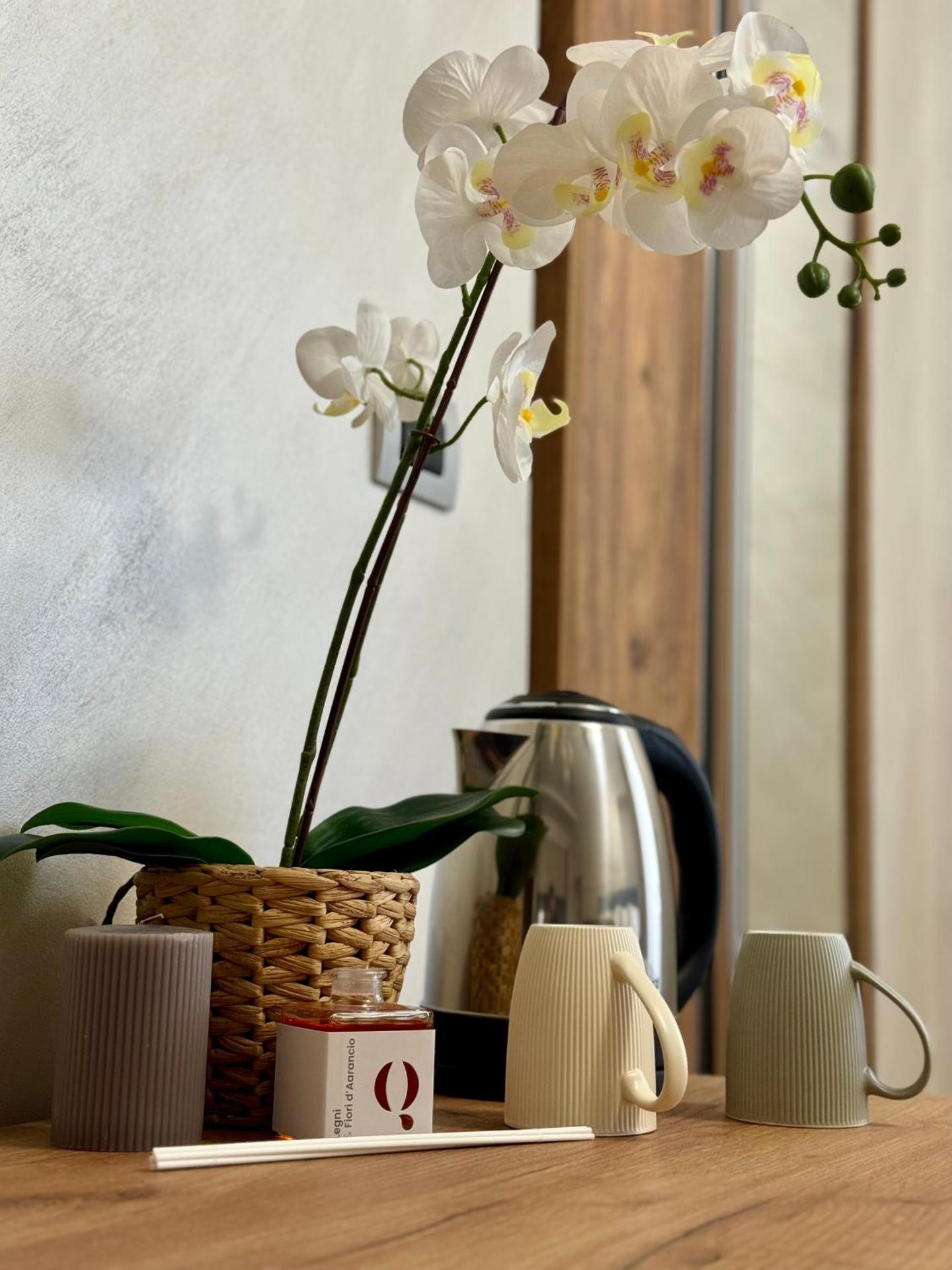 APARTAMENT - Torino Home Living