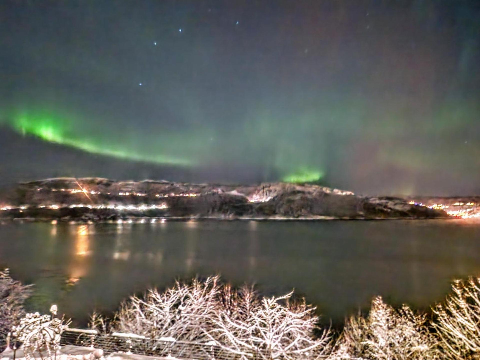 Bergen sunrise Apartment - self check in - Free Parking