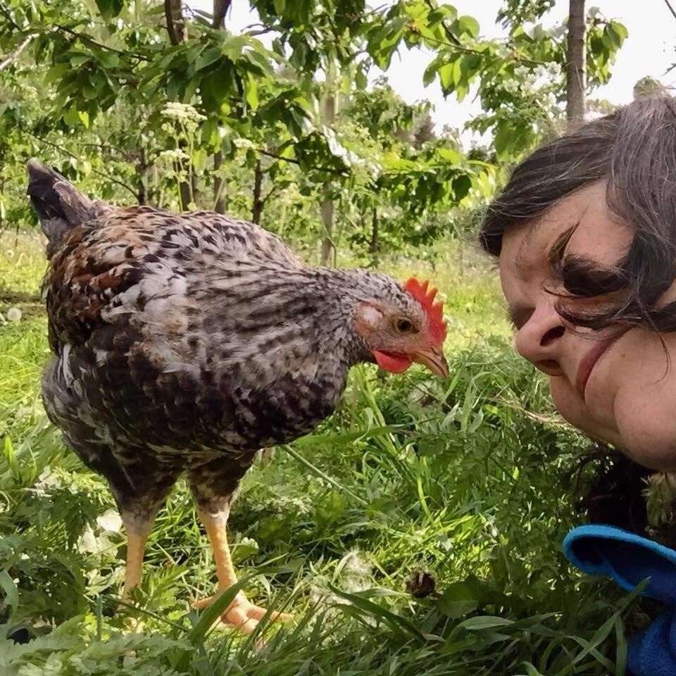 Cabin "Pear" in beautiful Hardanger