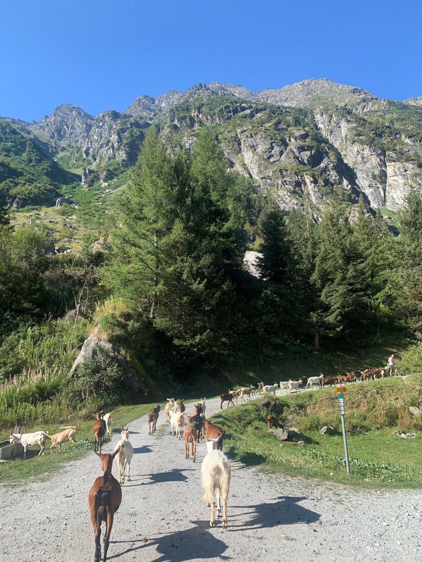 Agritourisme de Montagnier