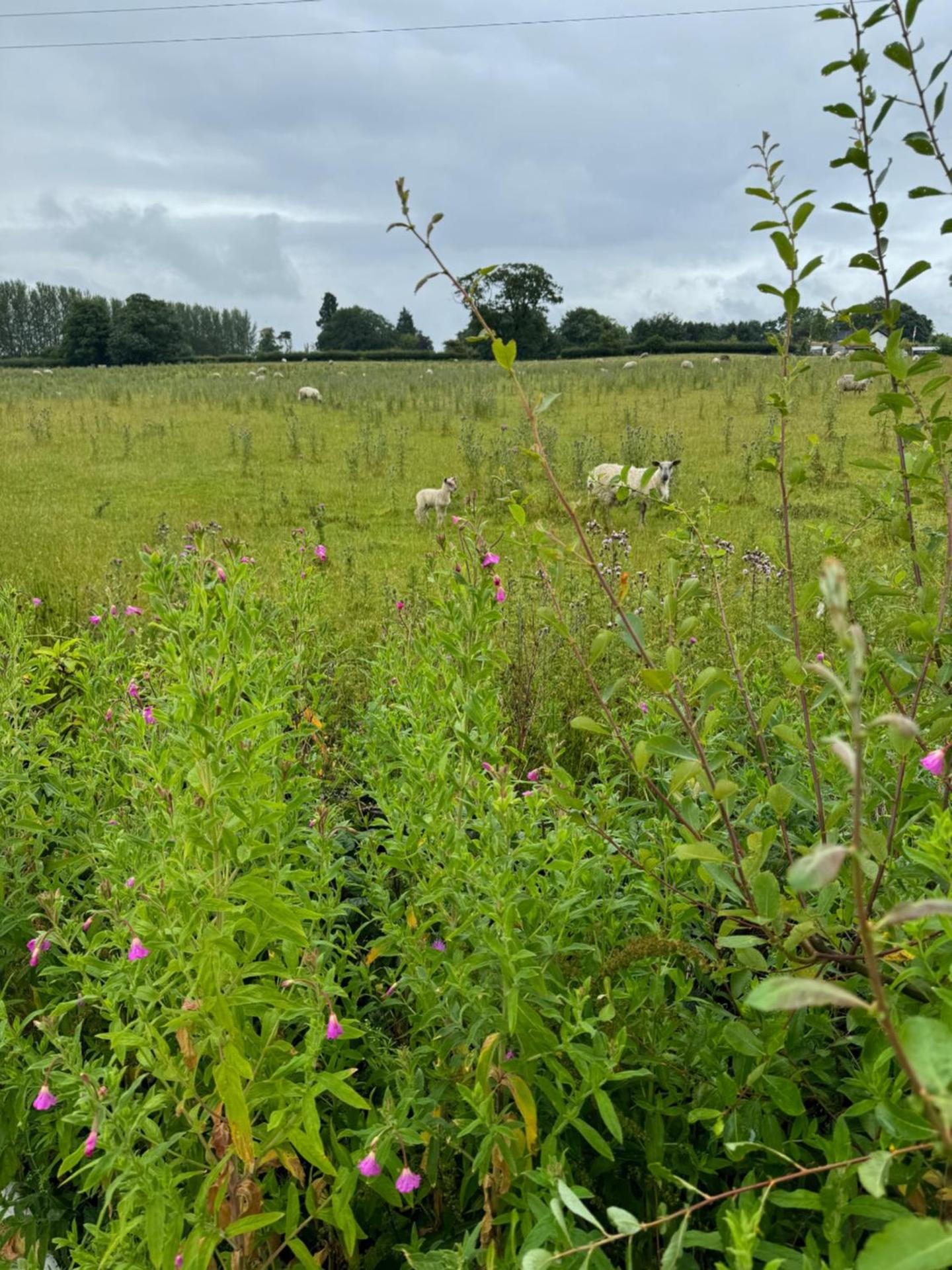 Cedar Barn - Nantwich, with Hot Tub