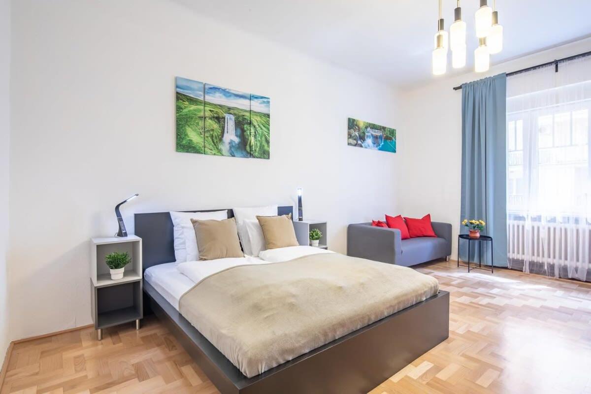 Central Large and Comfy Apartment