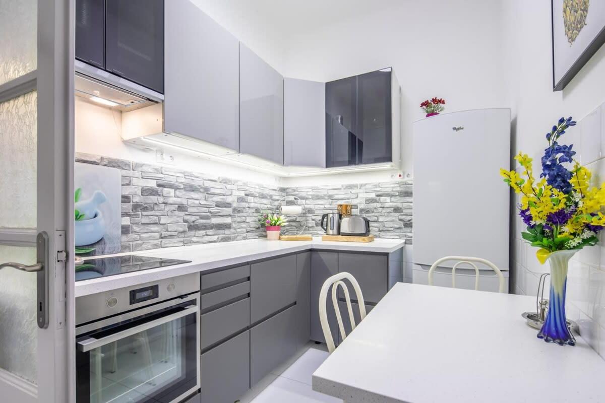 Central Large and Comfy Apartment