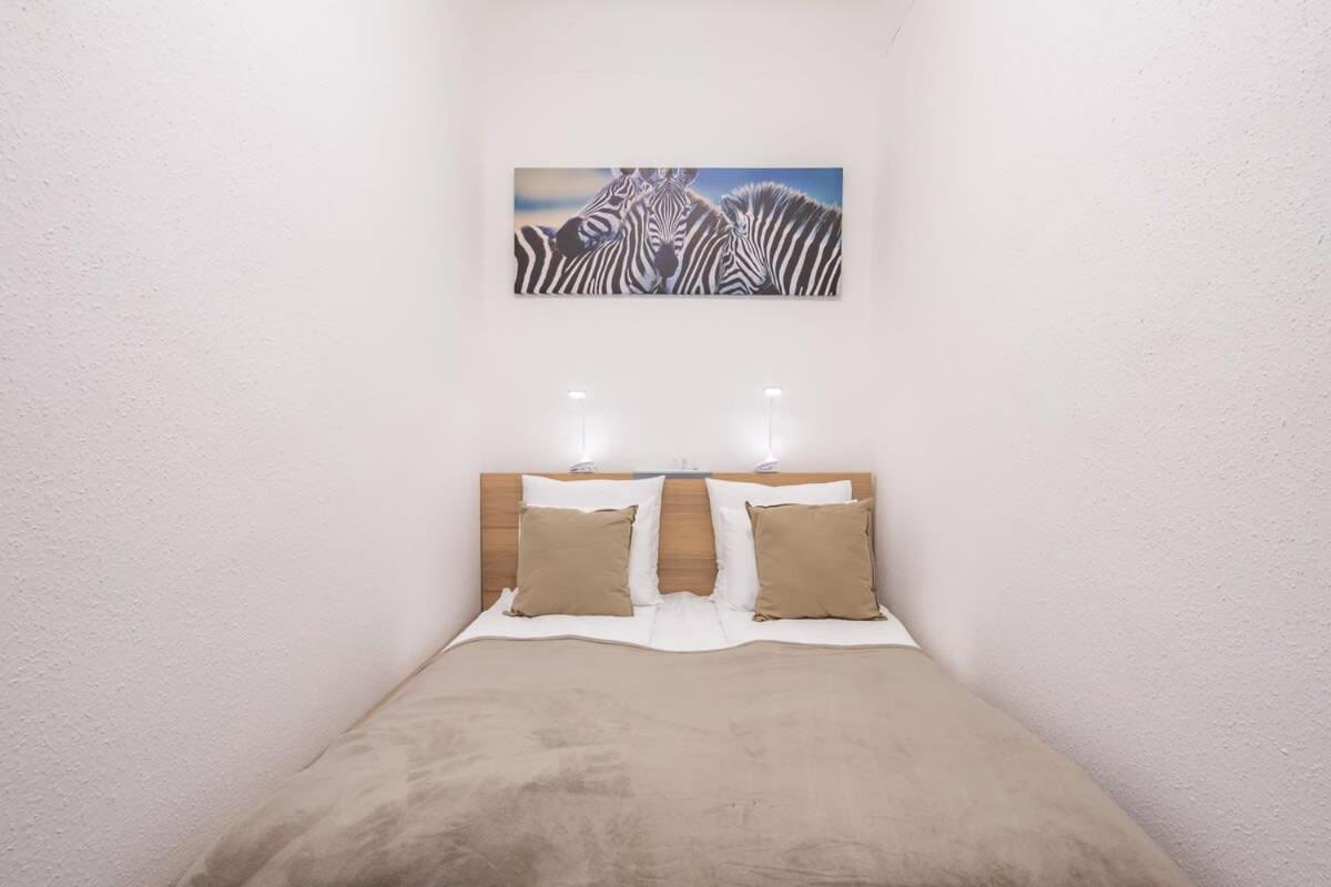 Central Large and Comfy Apartment