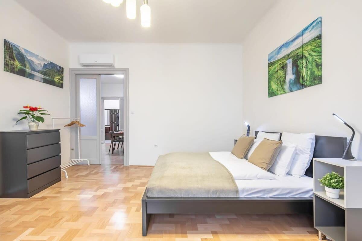 Central Large and Comfy Apartment