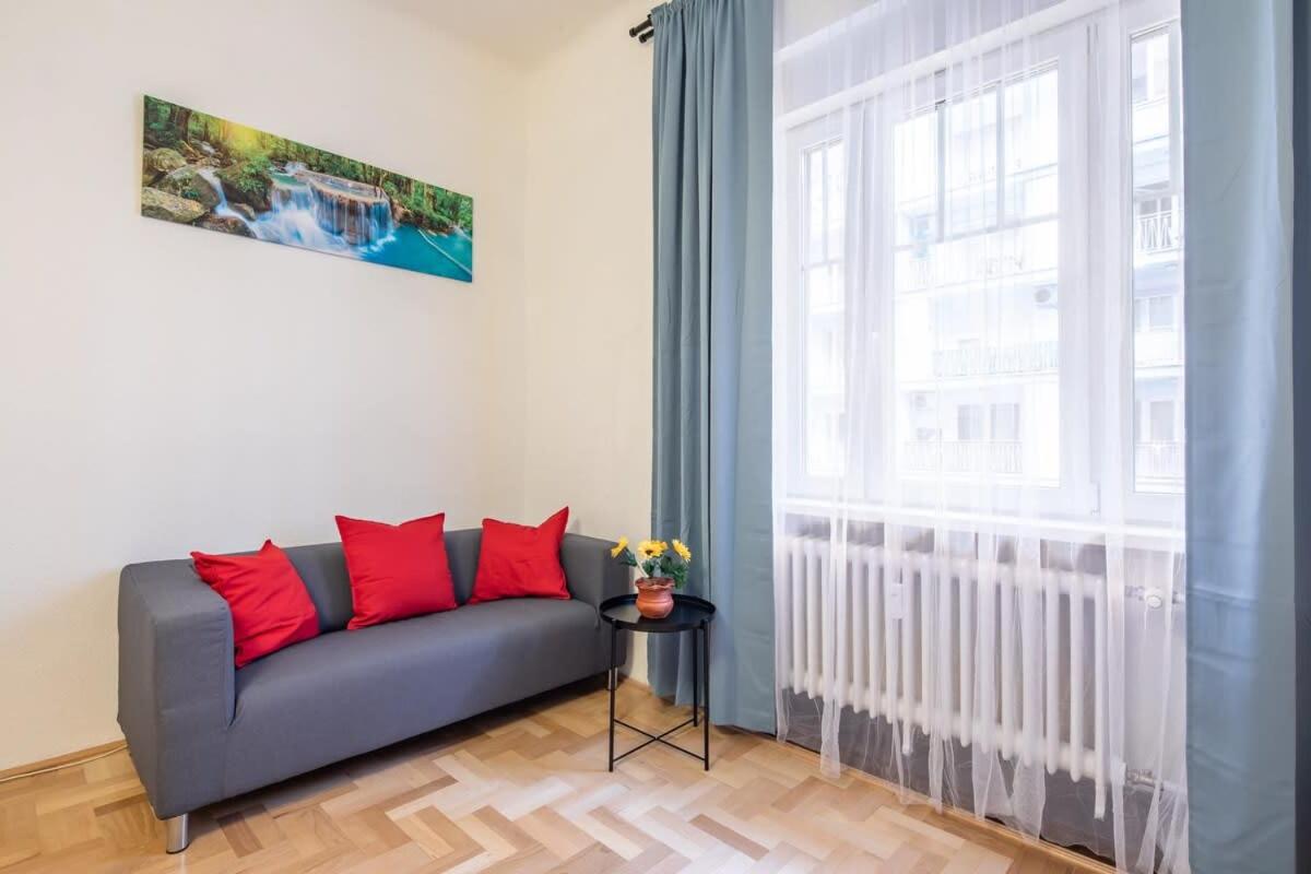 Central Large and Comfy Apartment