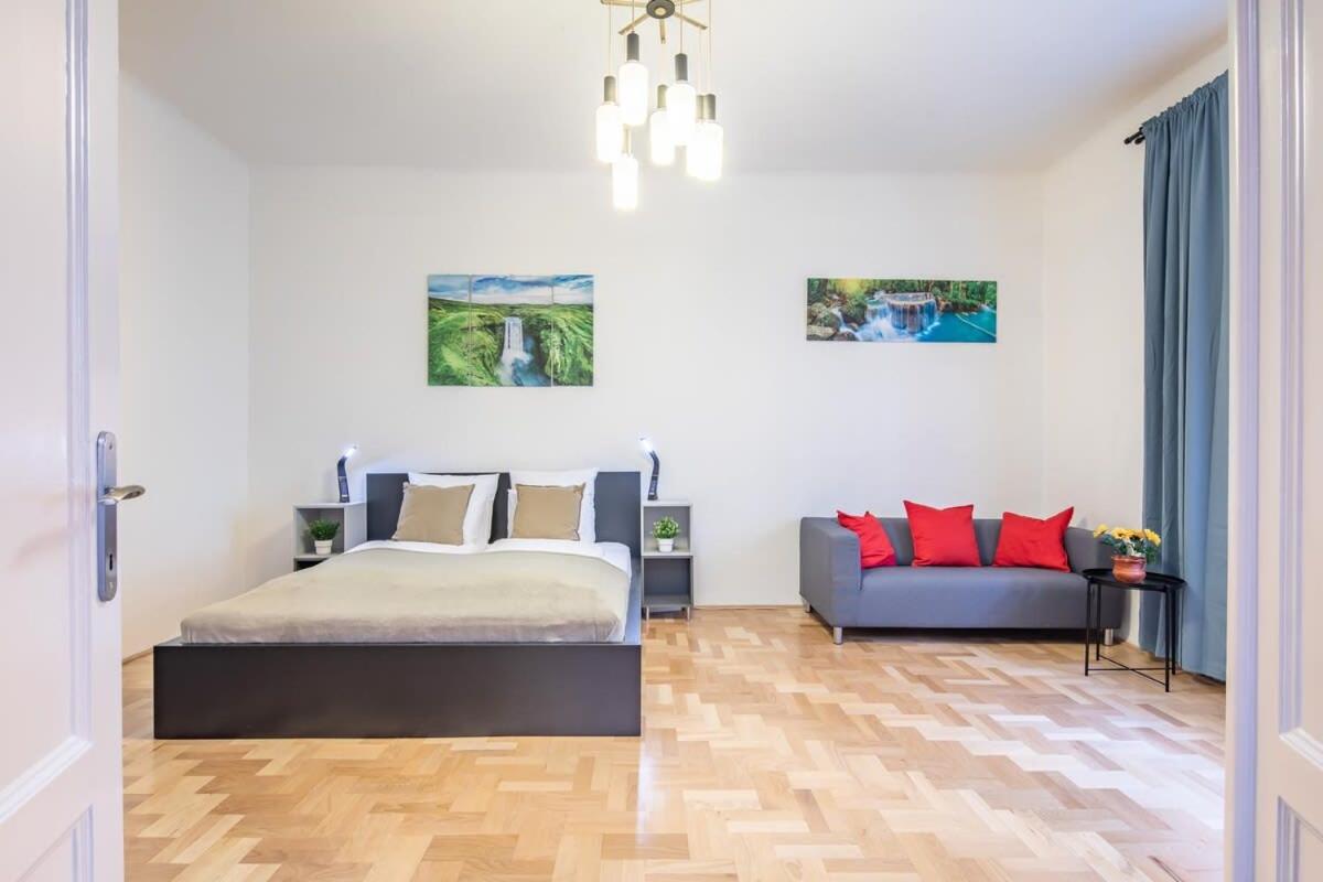 Central Large and Comfy Apartment