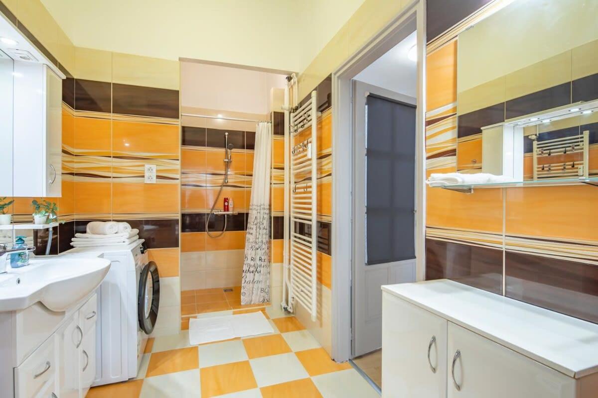 Central Large and Comfy Apartment