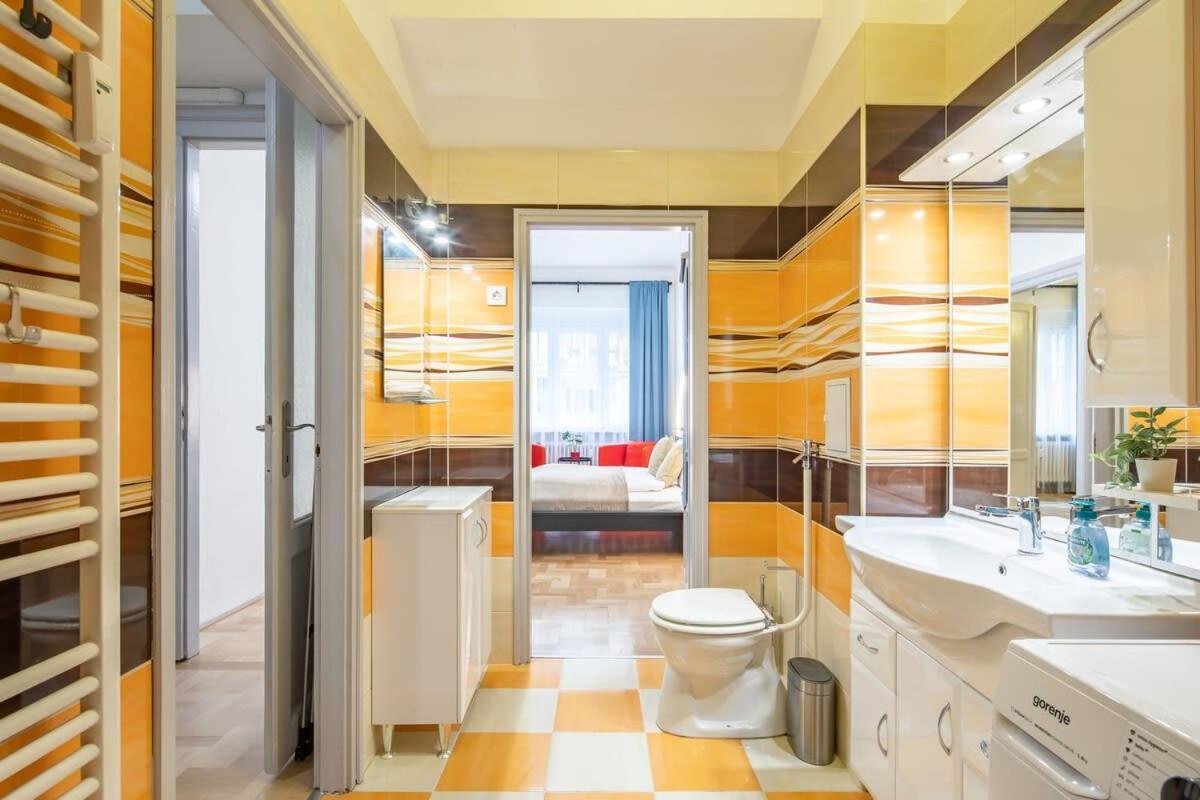 Central Large and Comfy Apartment