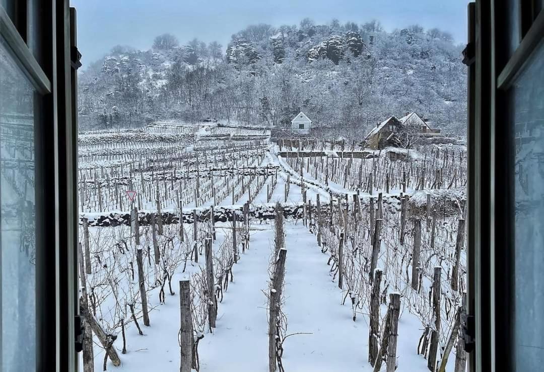 NemCsuri Vendegház Somló