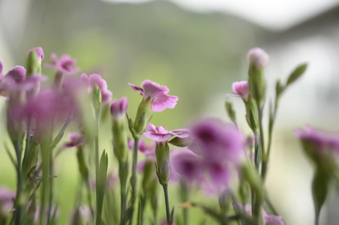 Holiday apartment Bergrausch in Oberammergau