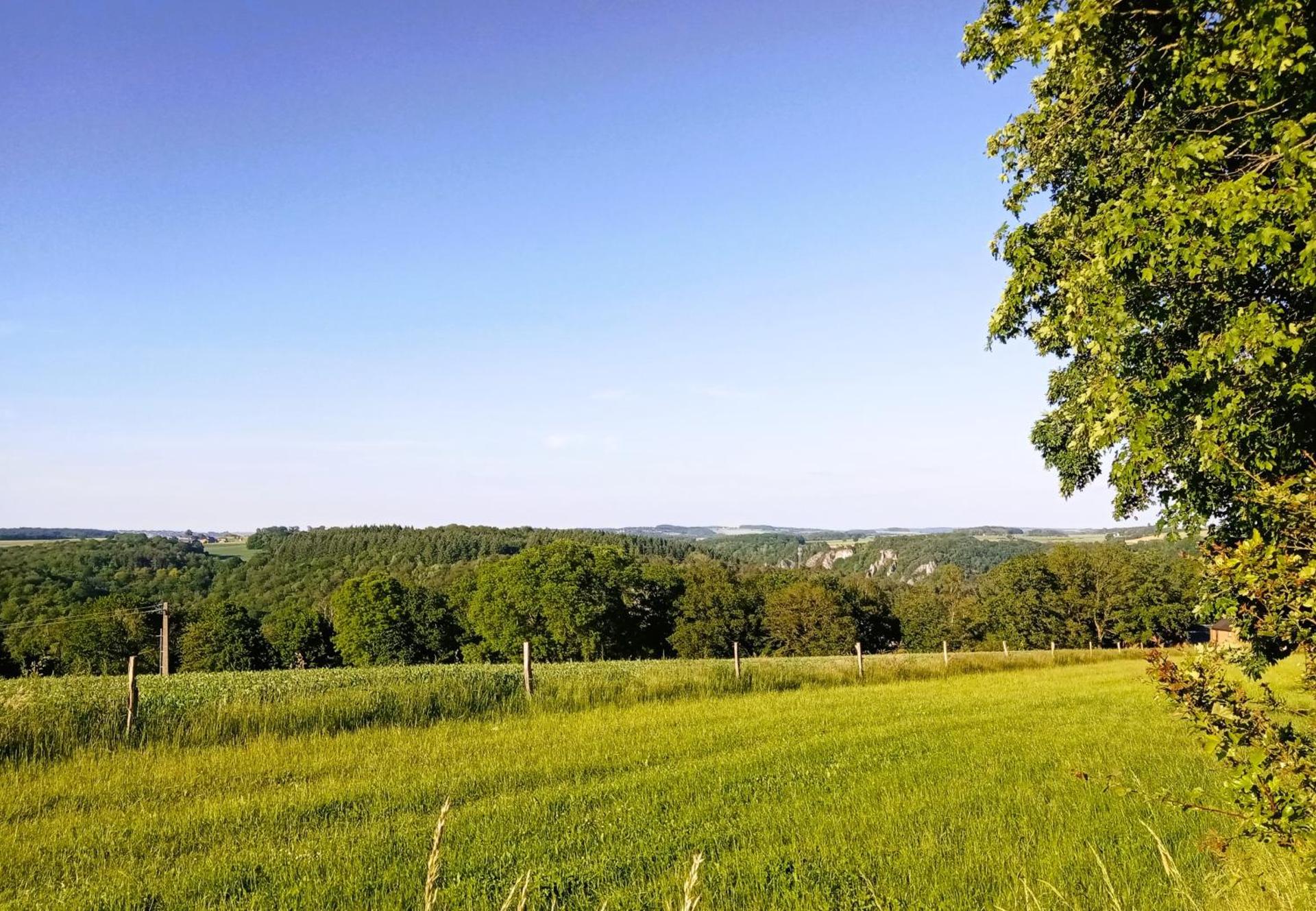 Louloudia Bonsoy Jaune 12 huis in het bos met mooi uitzicht en kalmte