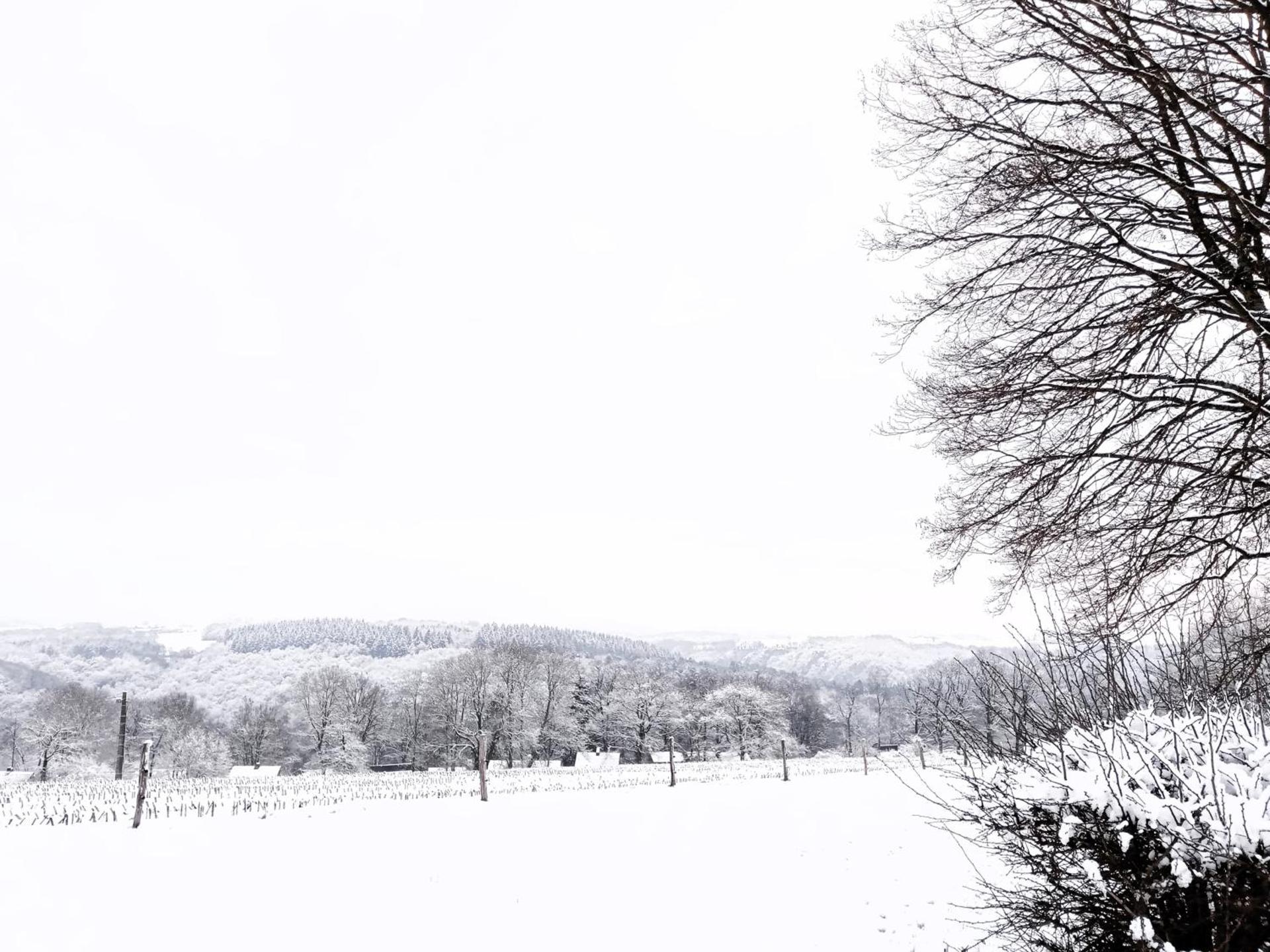 Louloudia - Bonsoy Jaune 12 Blaimont - huis in het bos met mooi zicht en rustig gelegen