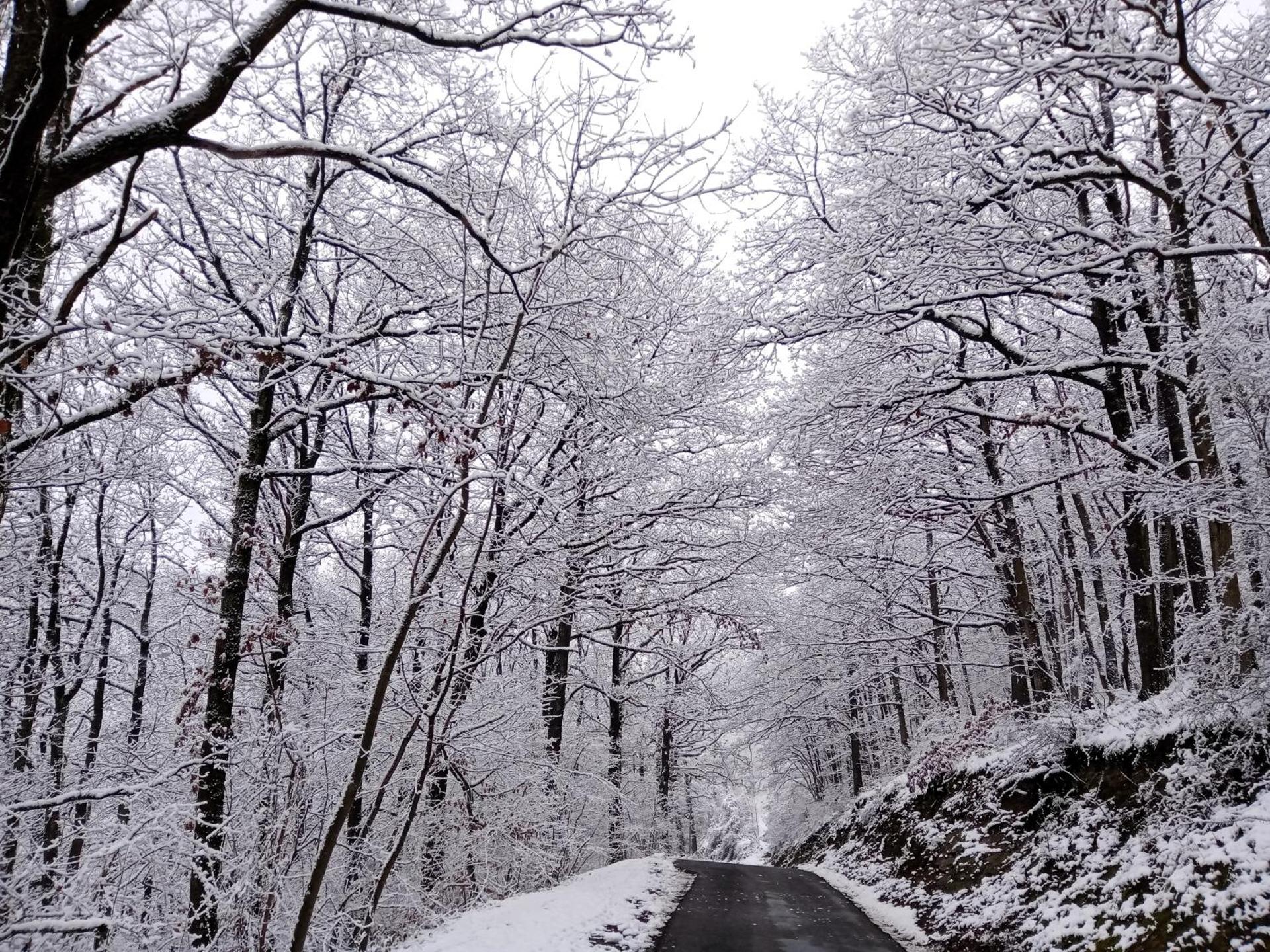 Louloudia - Bonsoy Jaune 12 Blaimont - huis in het bos met mooi zicht en rustig gelegen