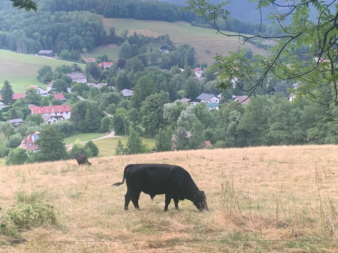 Kleines romantisches Chalet in der Semmering-Rax Region