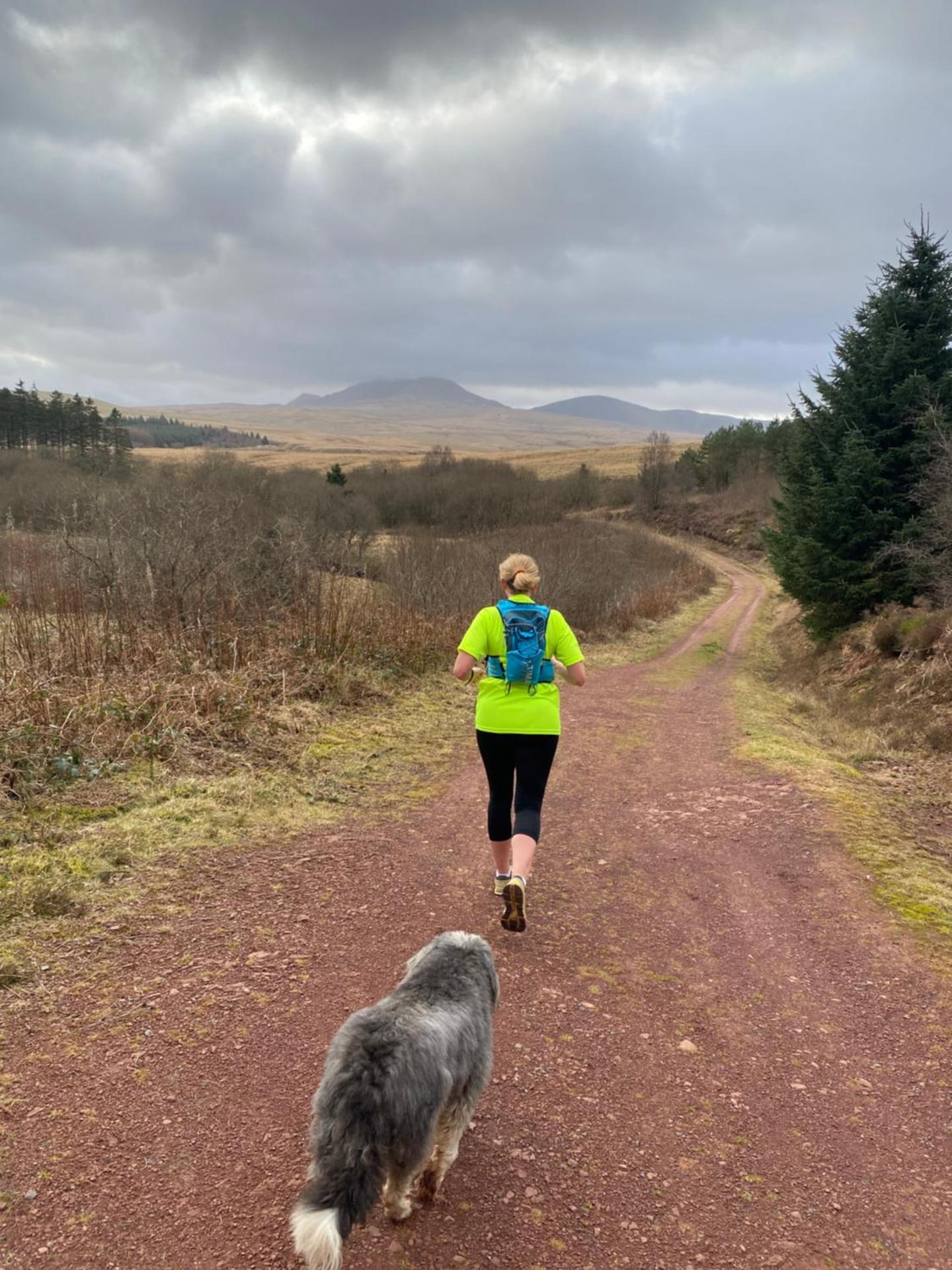 Bronfelin & Troed-y-Rhiw Holiday Cottage