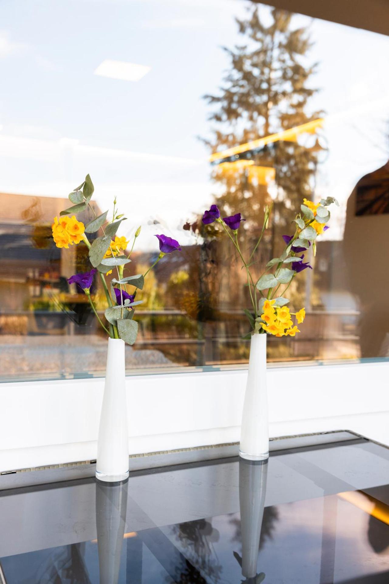 Höri-Nest Abendsonne-Appartement