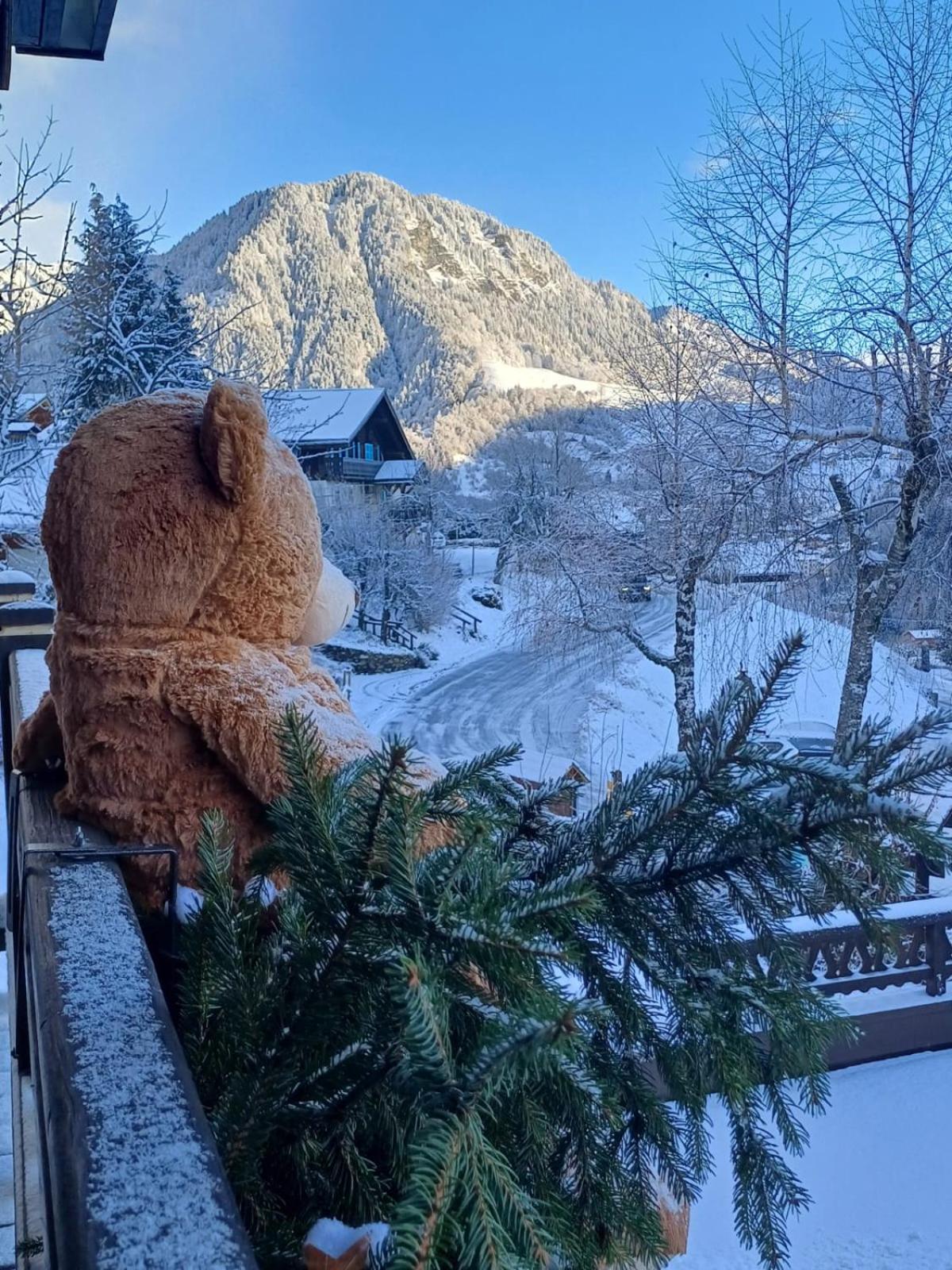 Chalet Appart'Hôtel l'Eau Vive