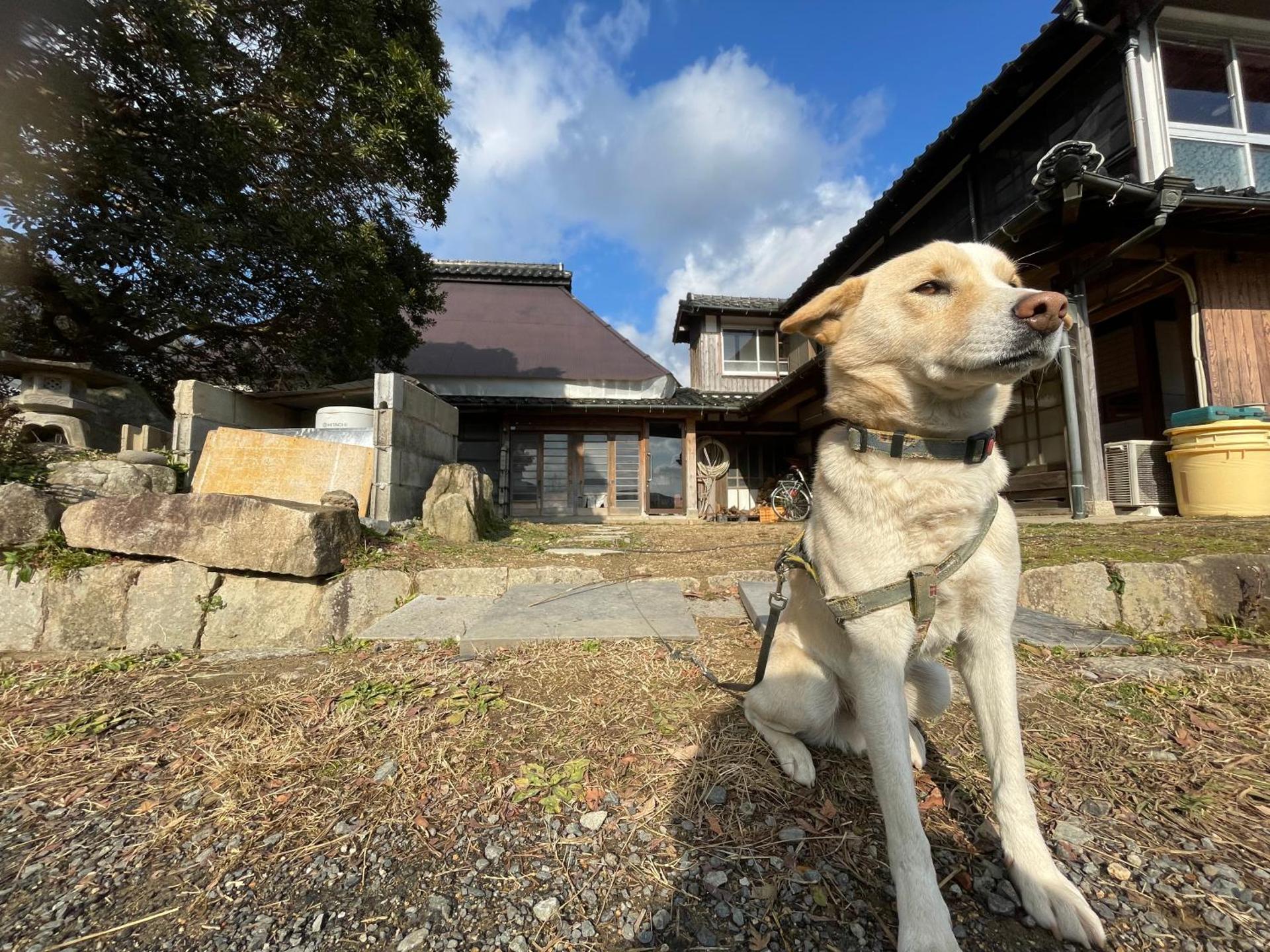 未来のふるさと村