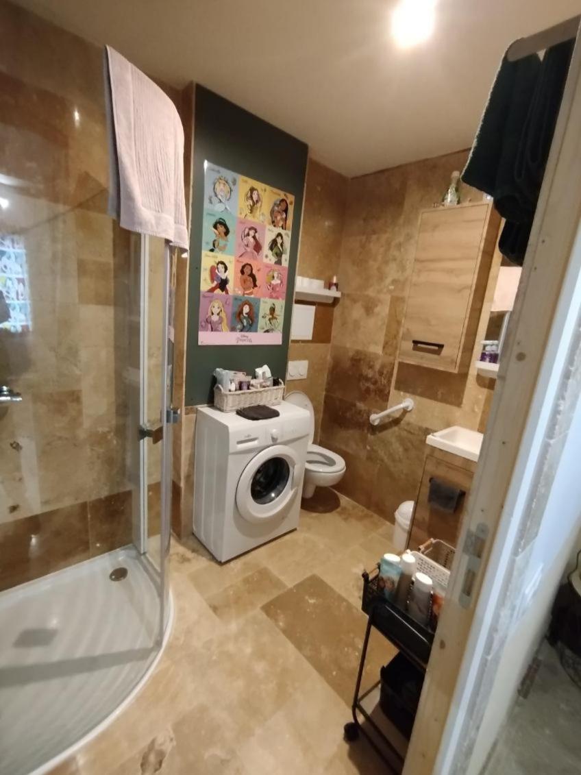 maison luxe disney aeroport tillé 2 a 5 personnes