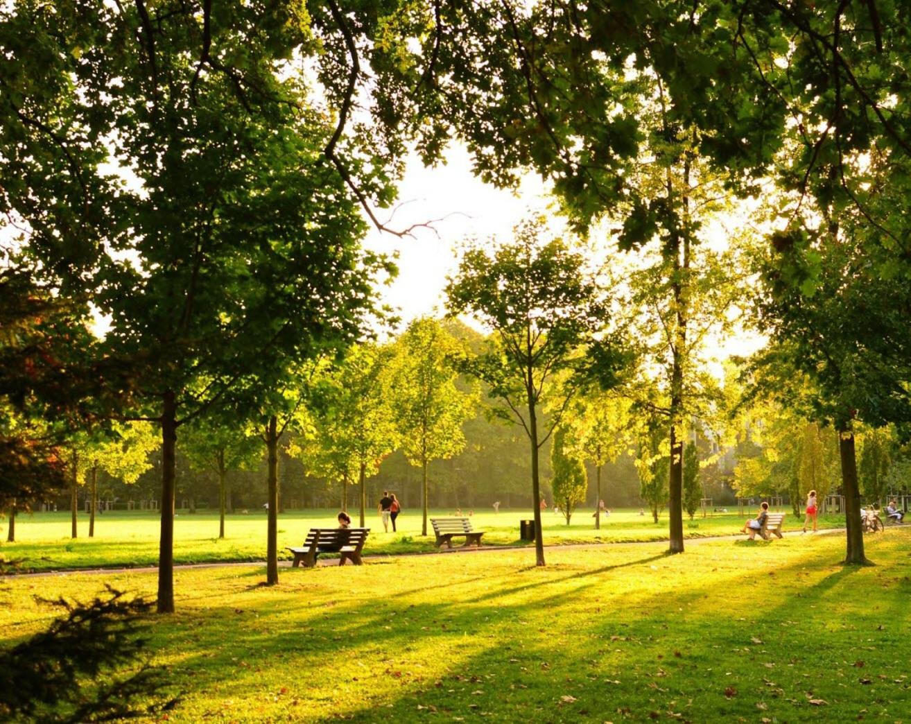 Studio neuf, Métro, Résidence protégée