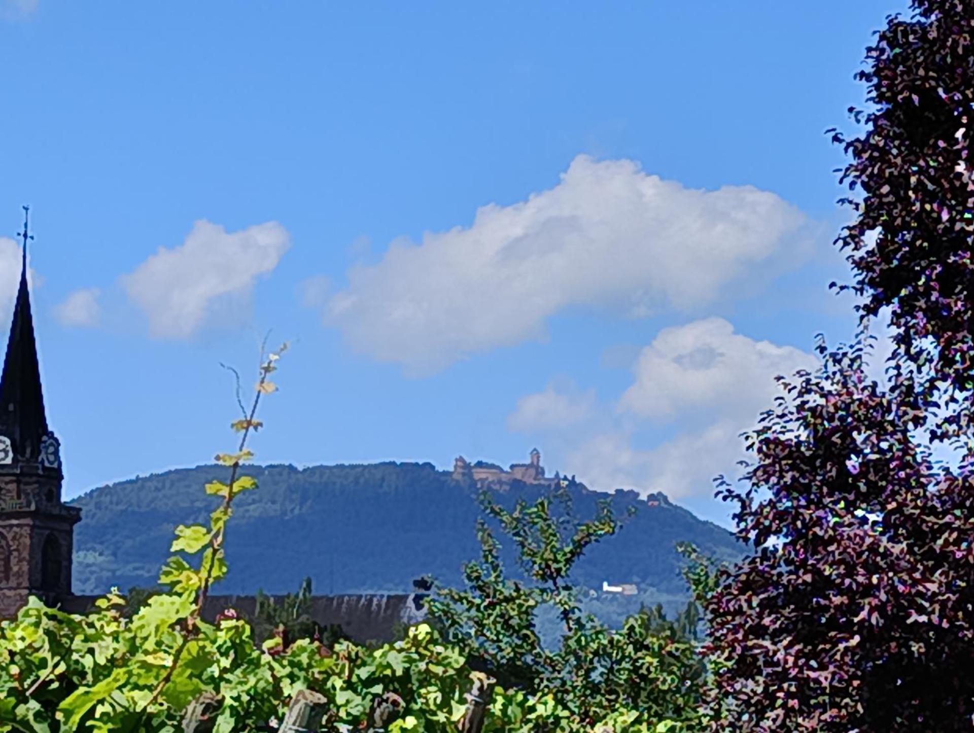 Le Nid Douillet de Bergheim