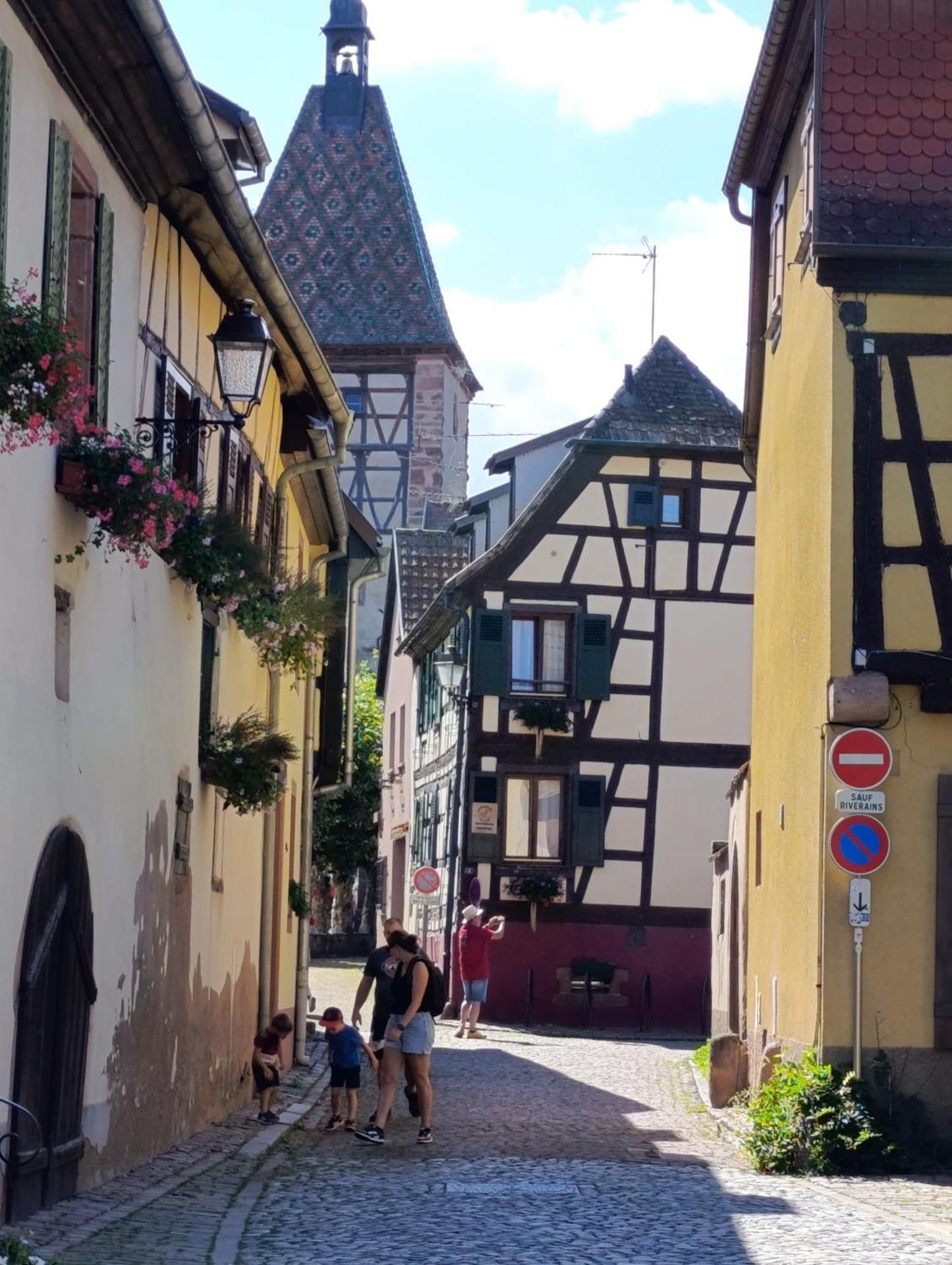 Le Nid Douillet de Bergheim