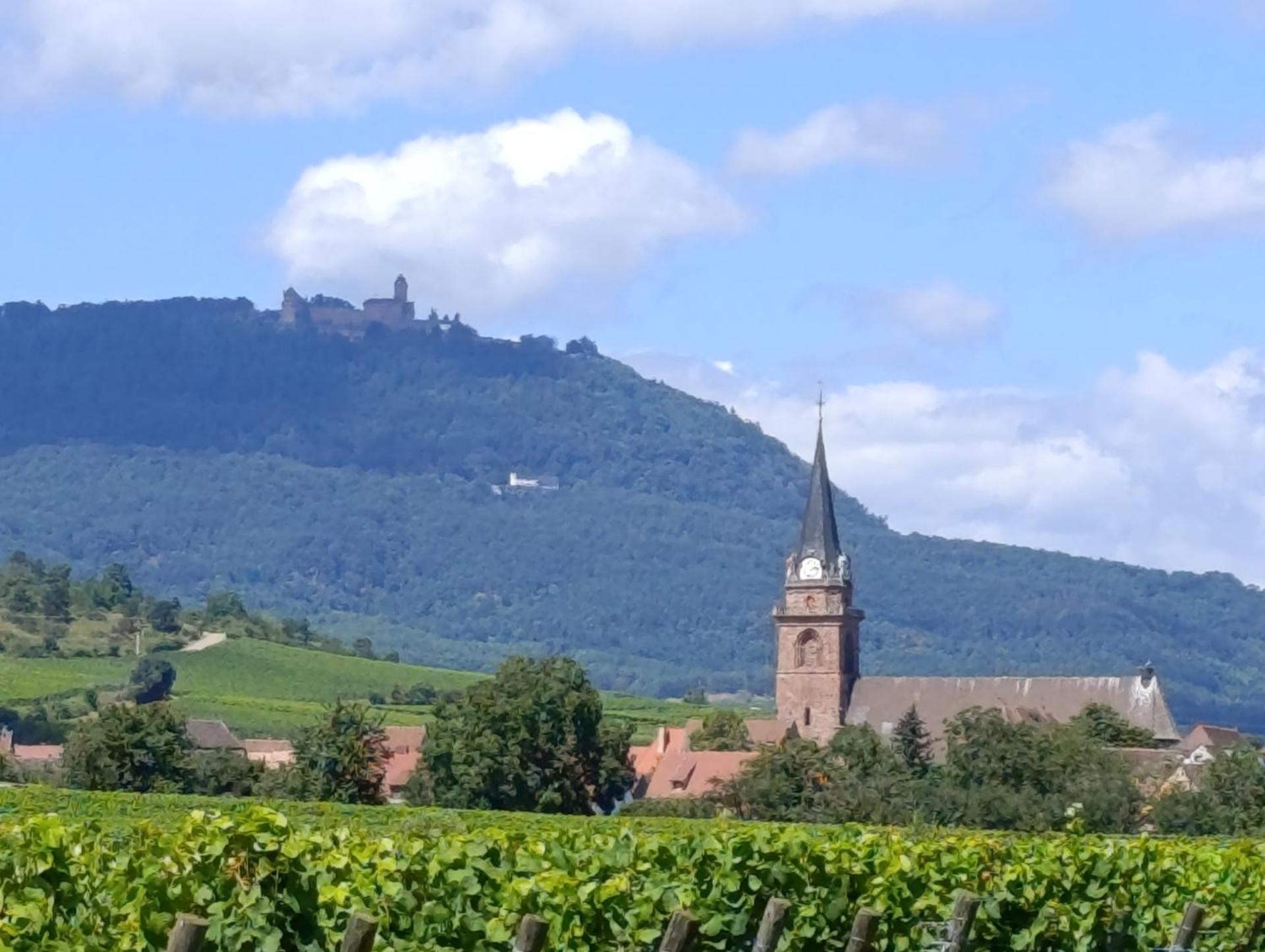 Le Nid Douillet de Bergheim