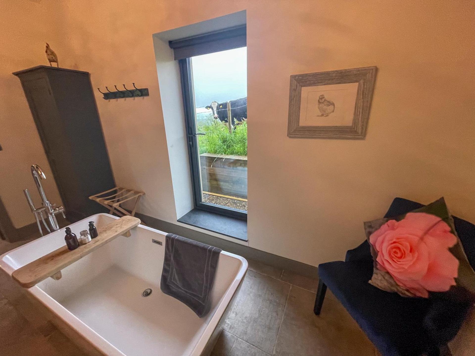 The Chicken Shed at Knowle Top