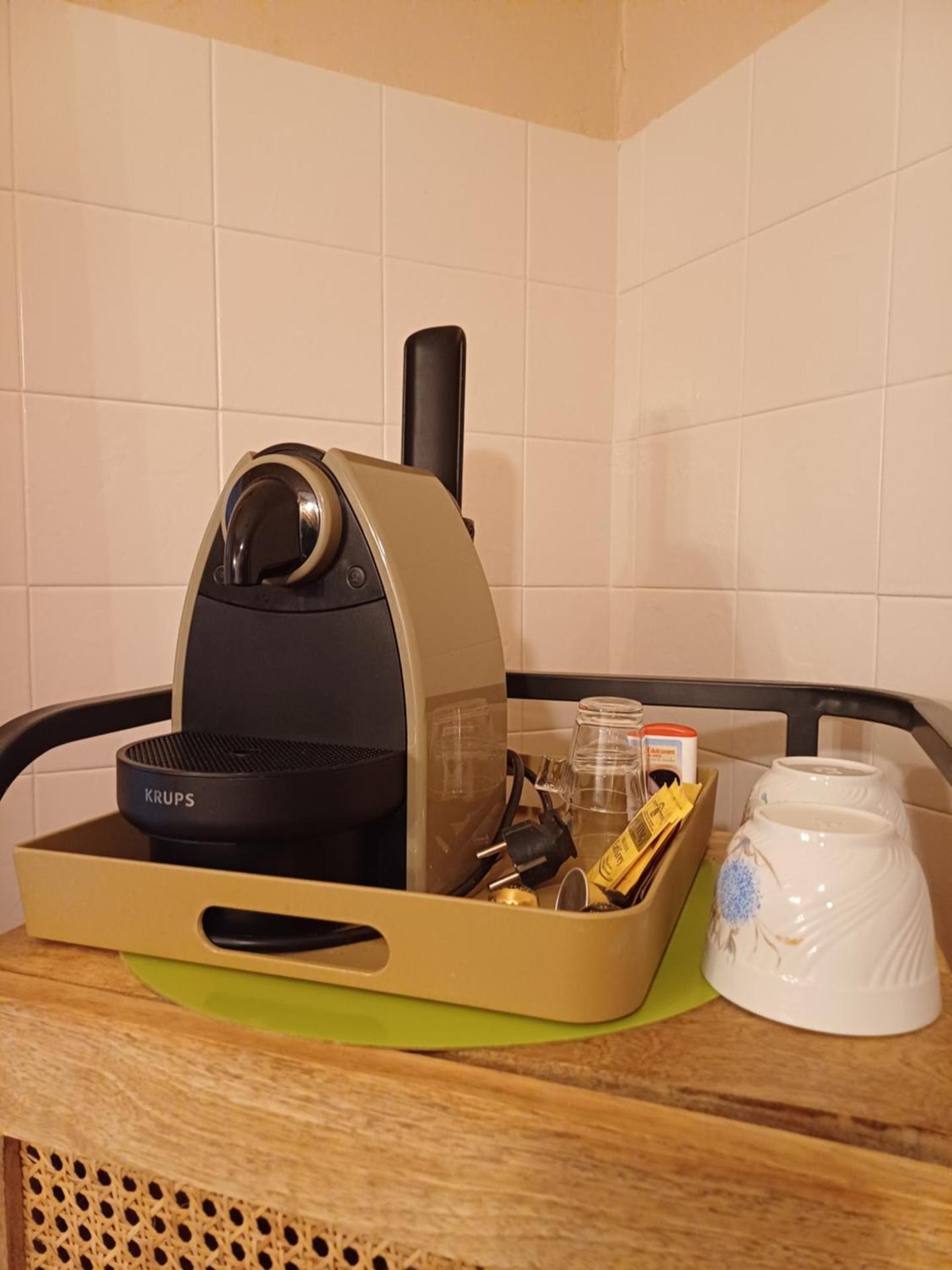 Le chant des oiseaux