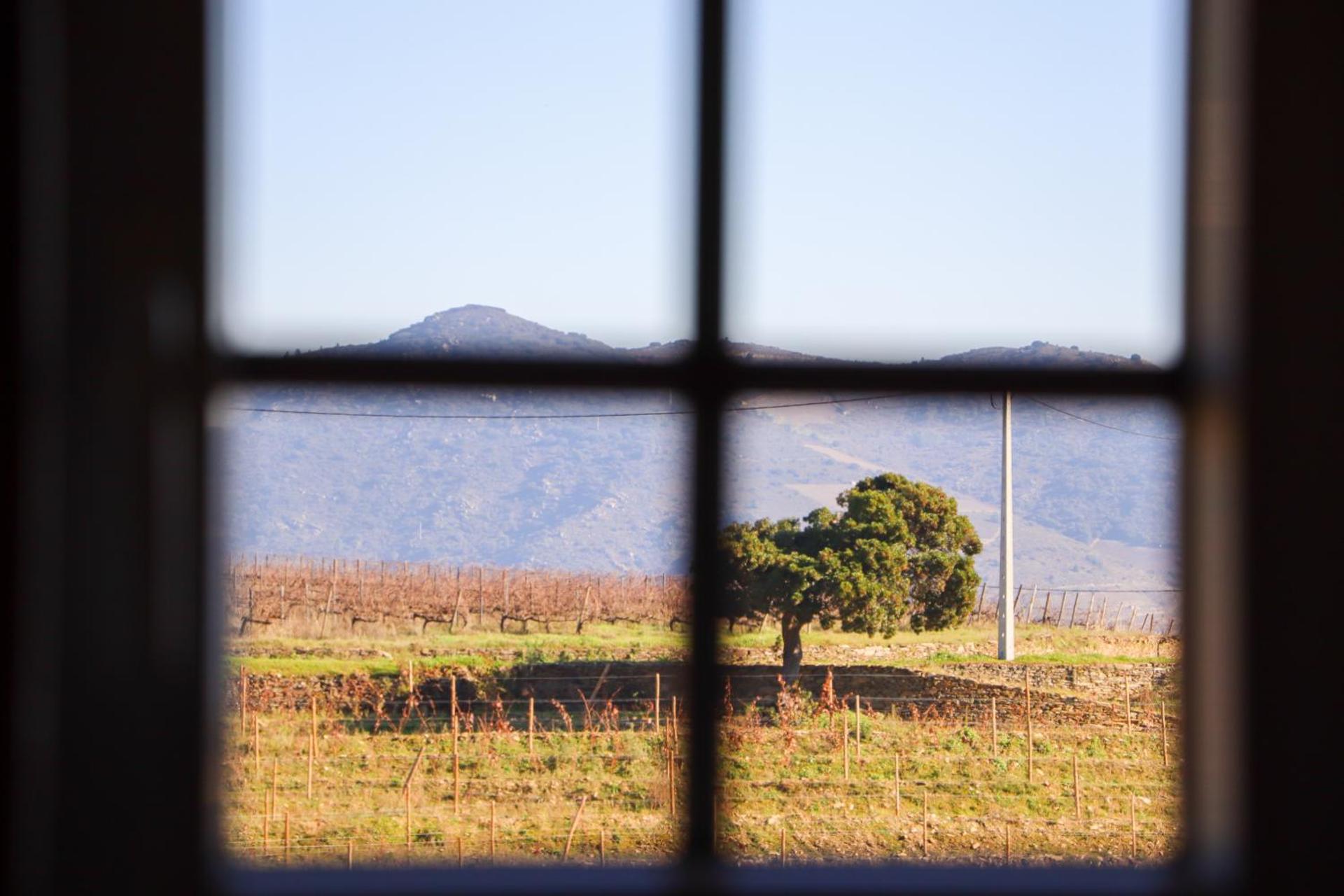 Quinta da Padrela Vineyard House