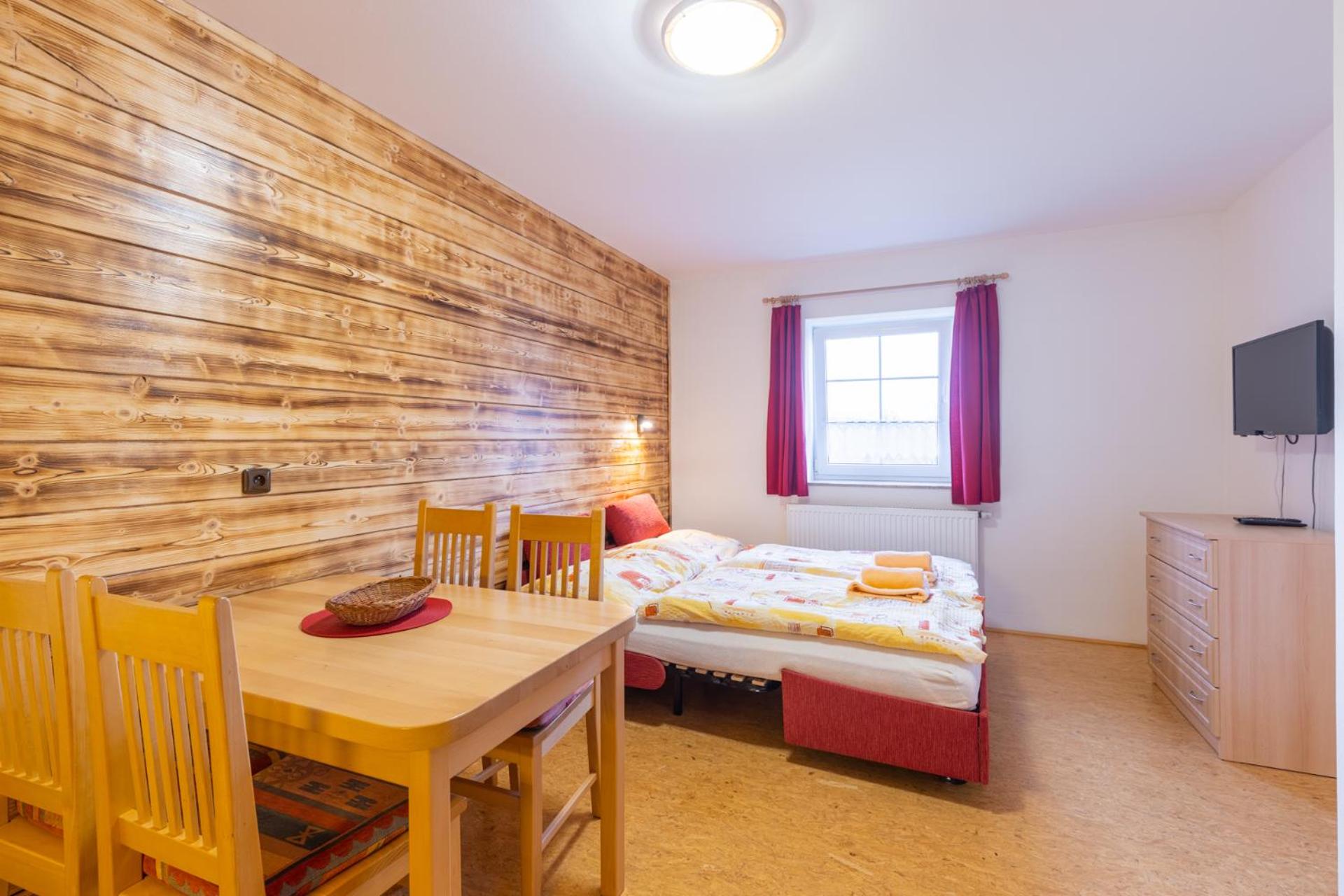 One-Bedroom Apartment with View