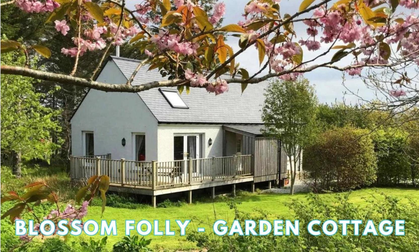 Araucaria Croft Skye