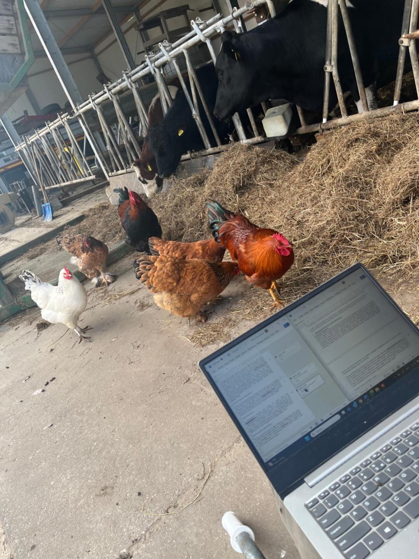 Pilotenhof - Hooizolder