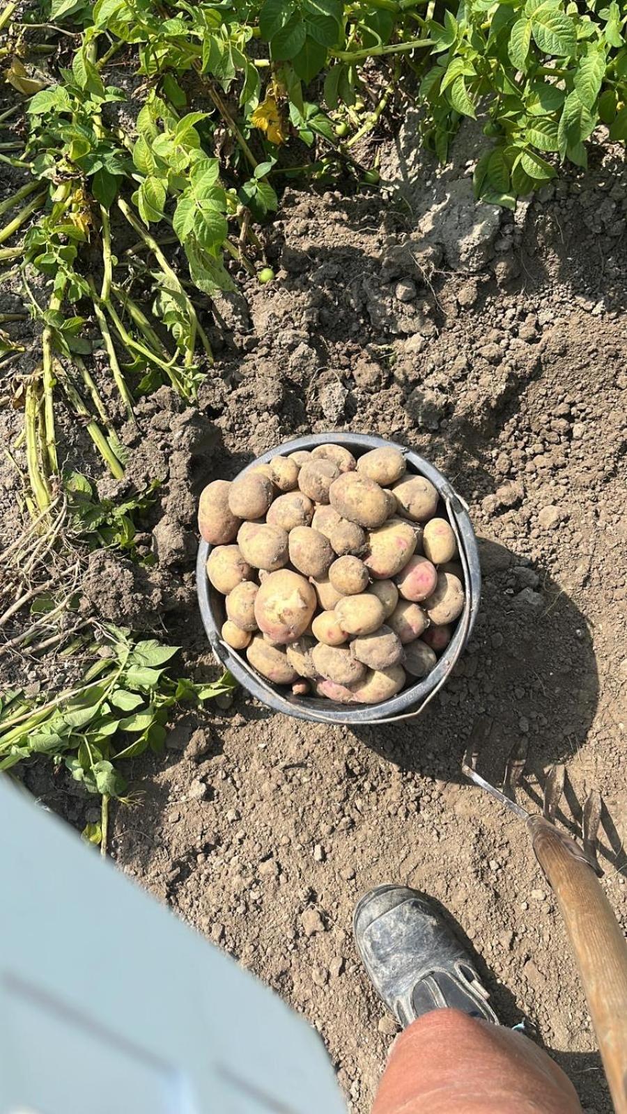 Pilotenhof - Hooizolder