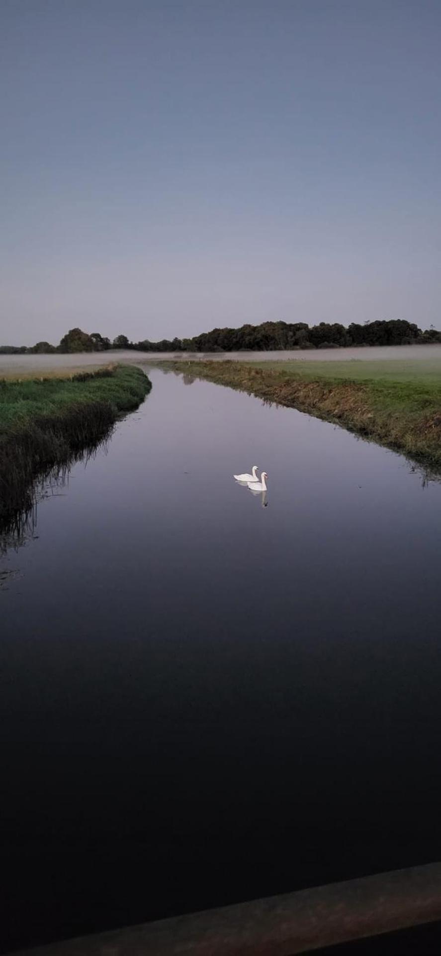 Yellow Stone Farm Lodge