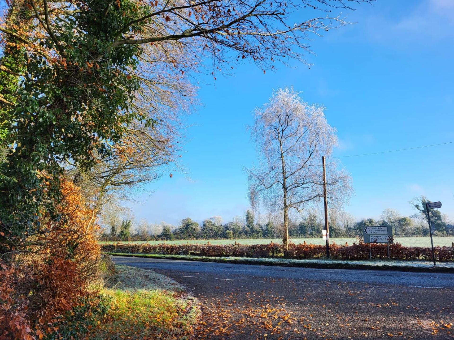 Yellow Stone Farm Lodge