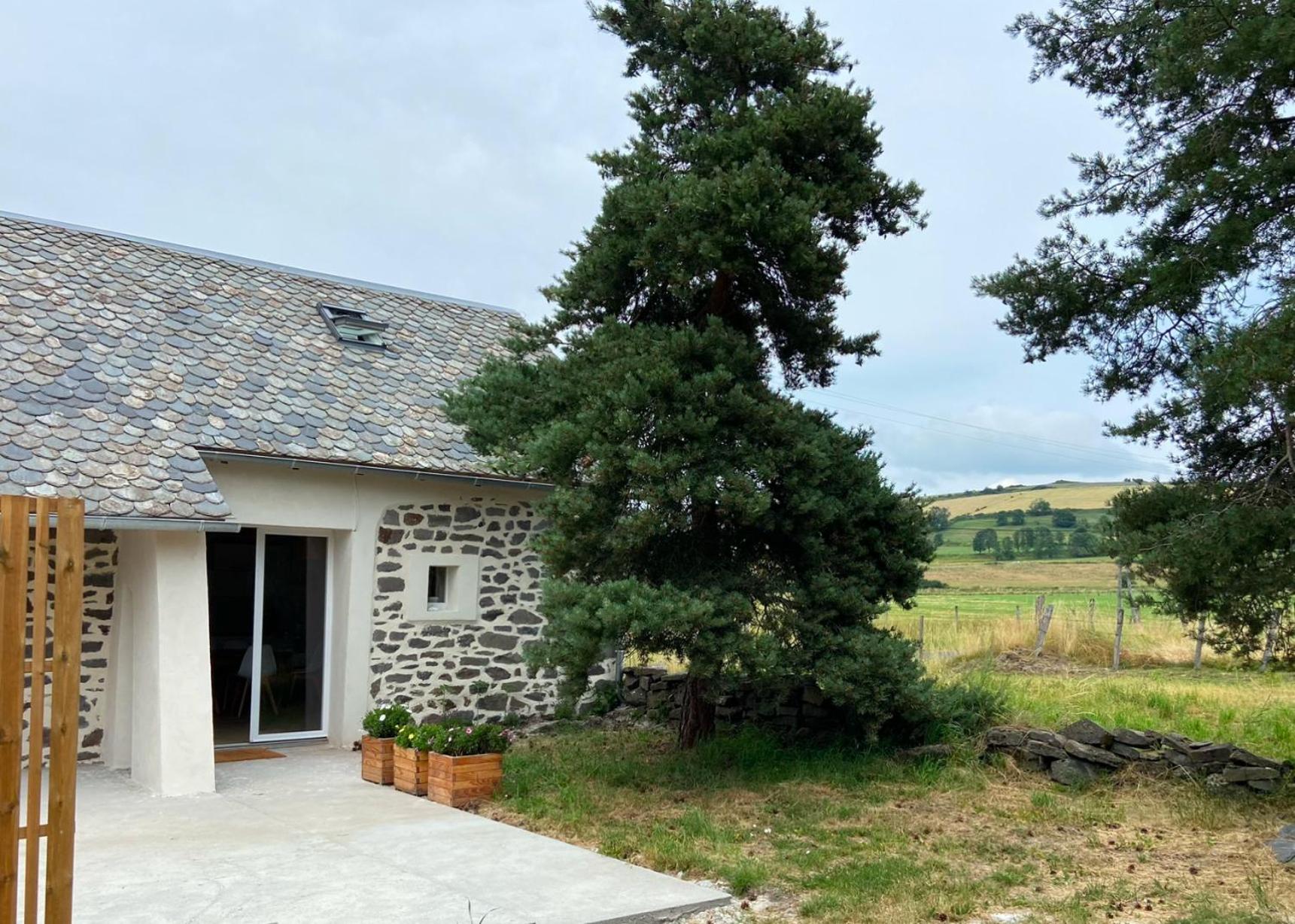 L’escapade de Tali