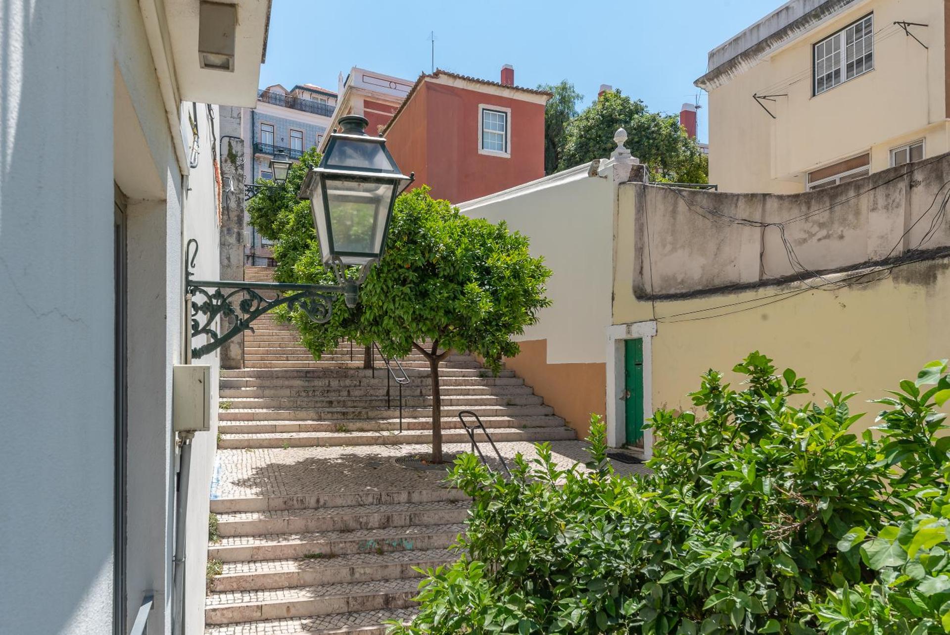 Orange 3 House - Chiado Studios